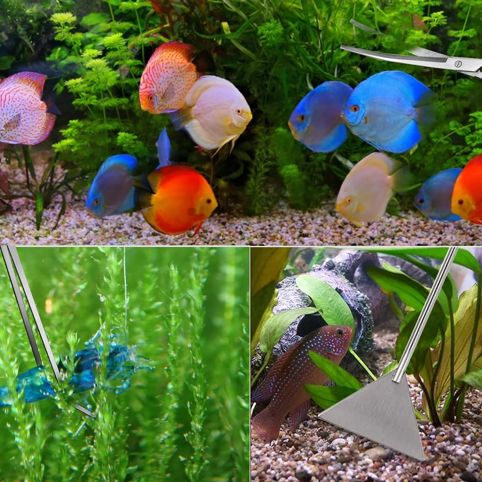 Winfred Set attrezzi acquario 4 in 1 pinze piante acquatiche forbici spatola kit pulizia pesci argento