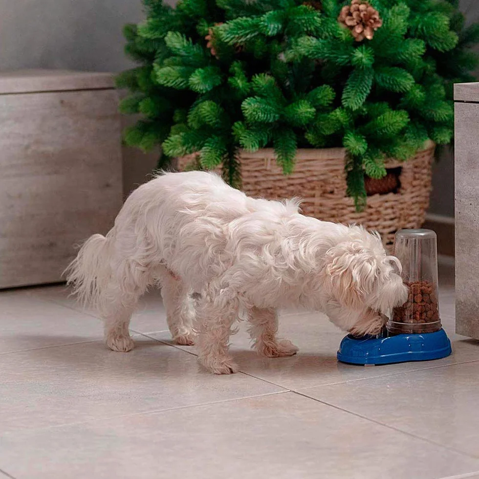 Ferplast Distributore cibo o acqua per cani e gatti AZIMUT 600 Mangiatoia per cibo secco acqua 0,6 Litri, Fondo antiscivolo, 12,5 x 19 x h 19,5 cm Blu