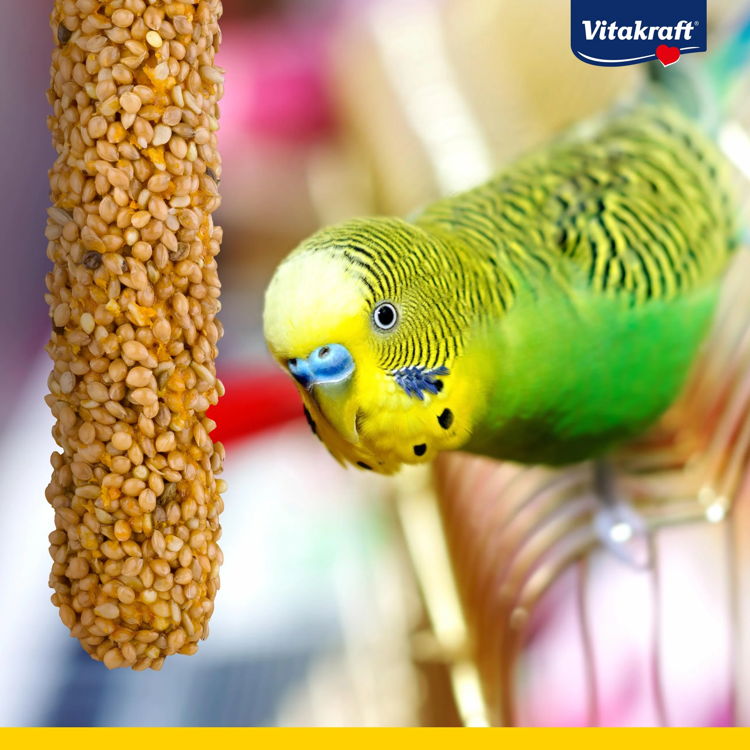 Vitakraft Kräcker Mix snack uccelli per pappagallini ondulati bastoncini da masticare con erbe aromatiche e peperone kiwi limone banana sesamo senza zuccheri aggiunti 90g
