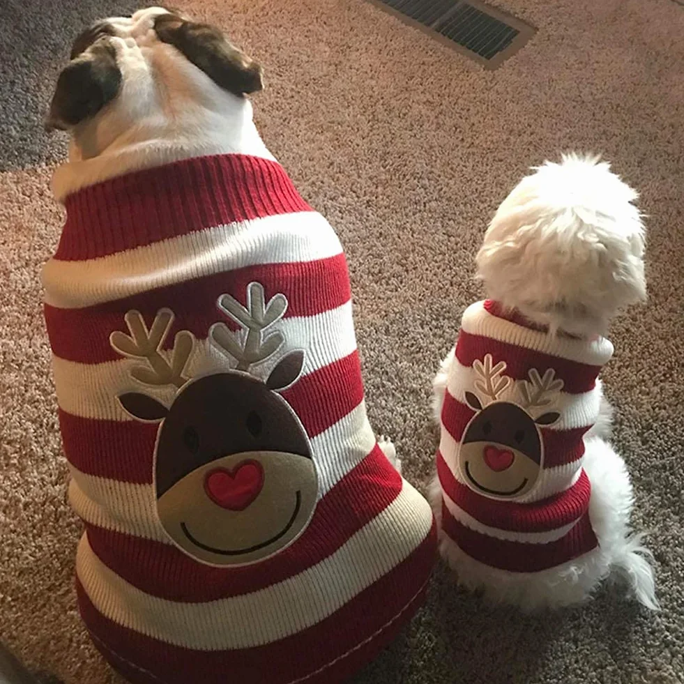 Maglioncino Natalizio per Cane Gatto, Costume Maglieria Maglione Caldo Inverno, Motivo Strisce Alce