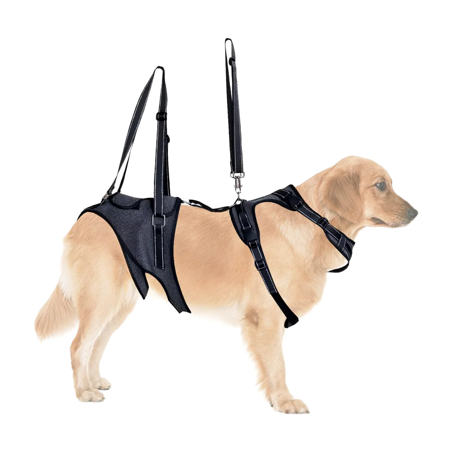 Imbracatura di Sollevamento per Cani Porta-Animali Tracolla Gilet per | Gilet assistenza mobilità cani con maniglia per cani anziani, disabili, riabilitazione e visite veterinarie