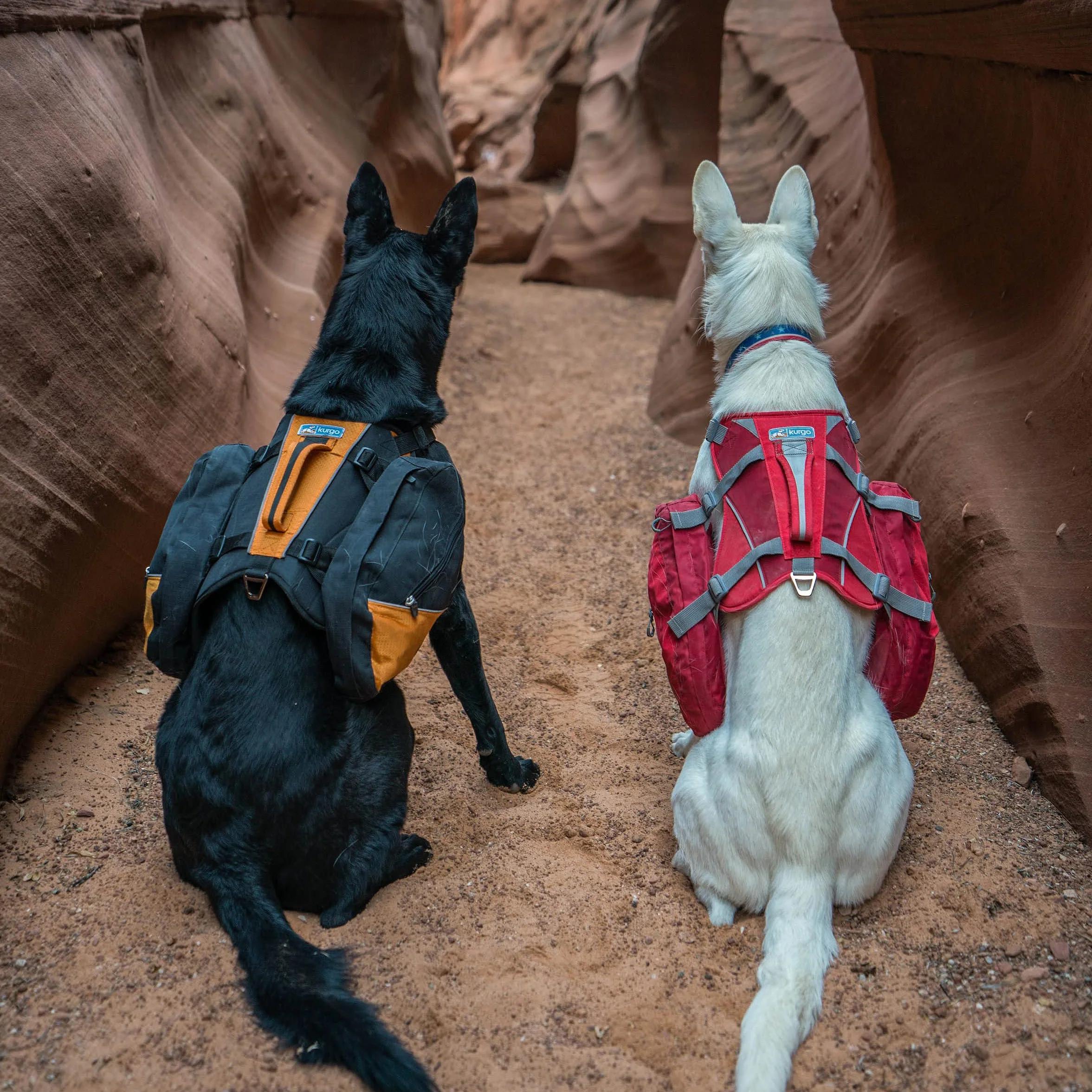 Kurgo Baxter - Zaino per Cani da Escursione con Supporto Ergonomico per la Schiena, Carico Bilanciato e Borse Laterali Resistenti - Per Cani 14–39 kg - Nero e Arancione