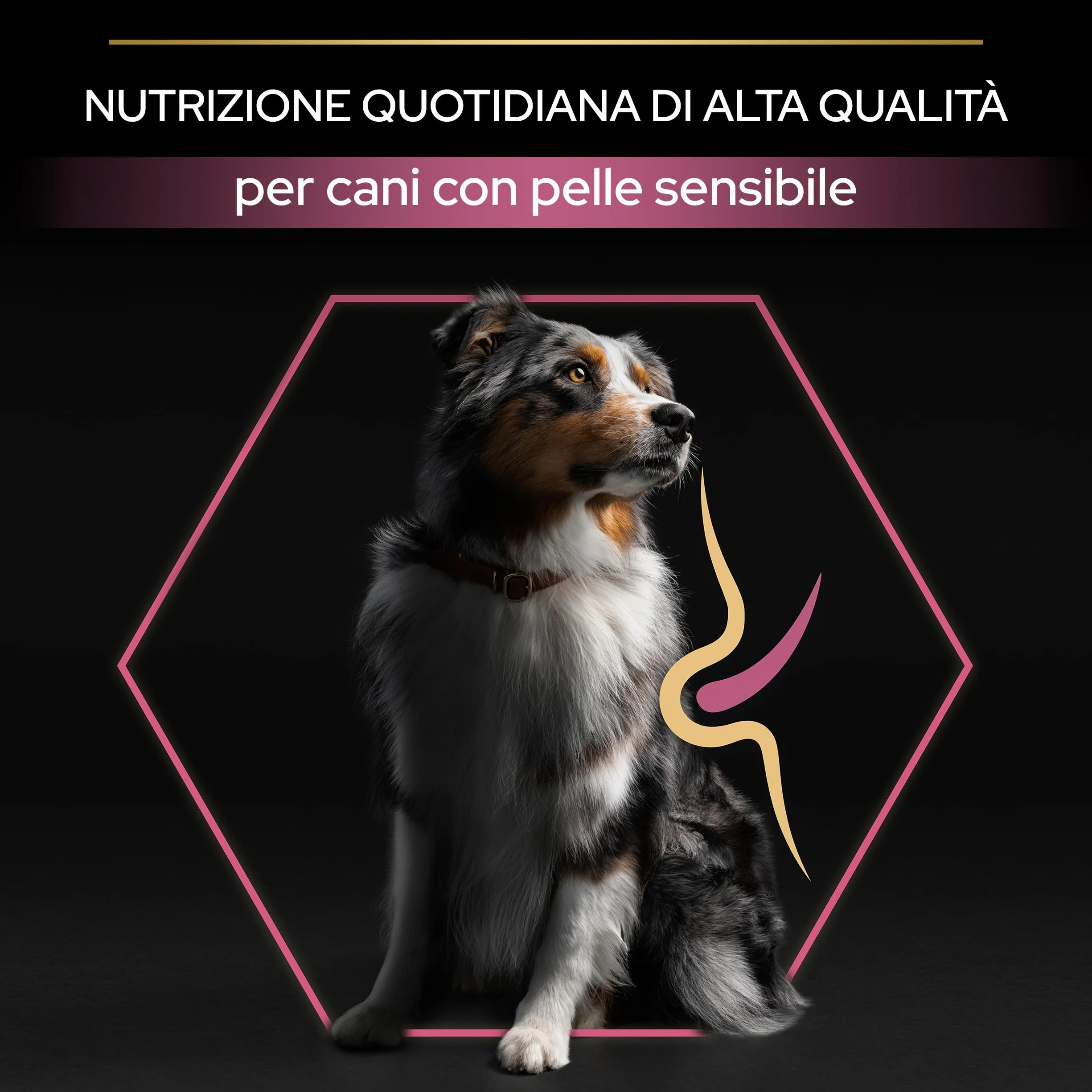 Purina Pro Plan Optiderma Medium Adult Crocchette Cane Salmone 14kg