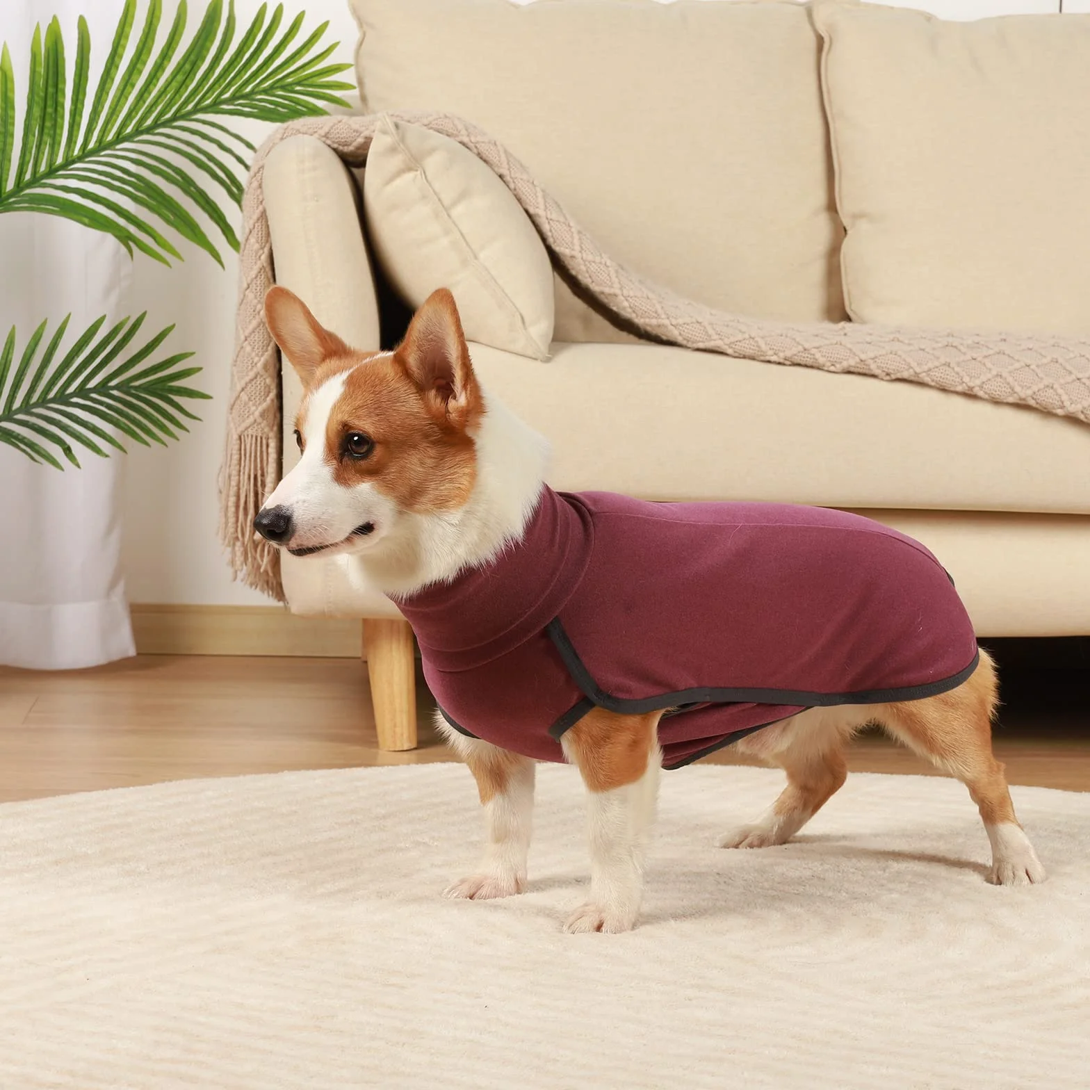 Cappotto Cane Rosso Scuro XL Felpa Morbido Caldo
