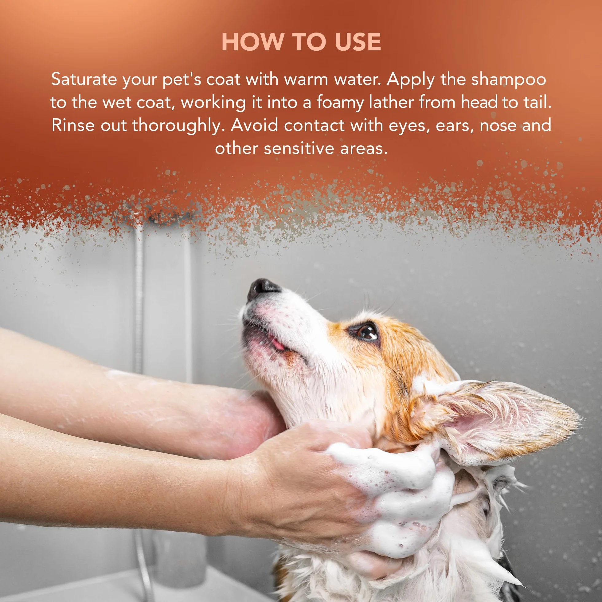 WAHL Dirty Beastie Dog Shampoo - 5 litri, concentrato 32:1, formula vegana per manti sporchi, folti o arruffati, pulisce e deodora