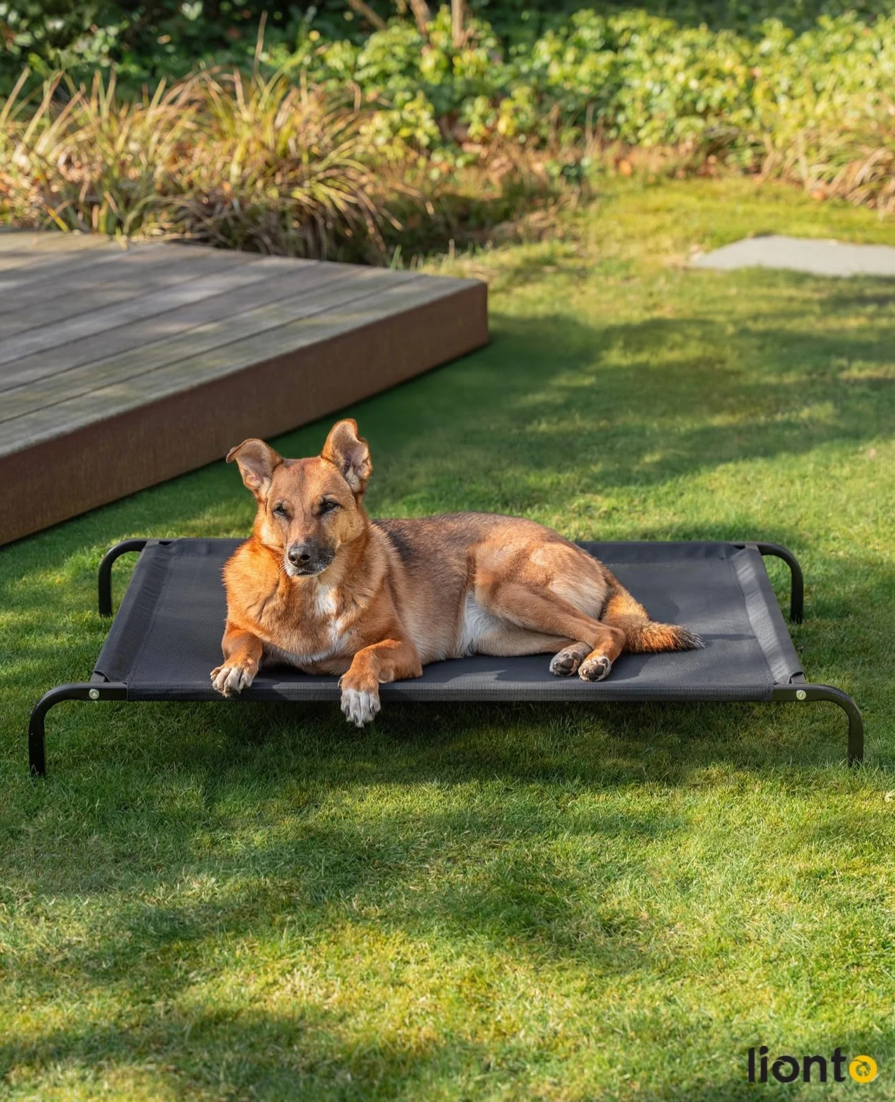 Lionto Lettino rialzato per Cani 114x76 cm Nero