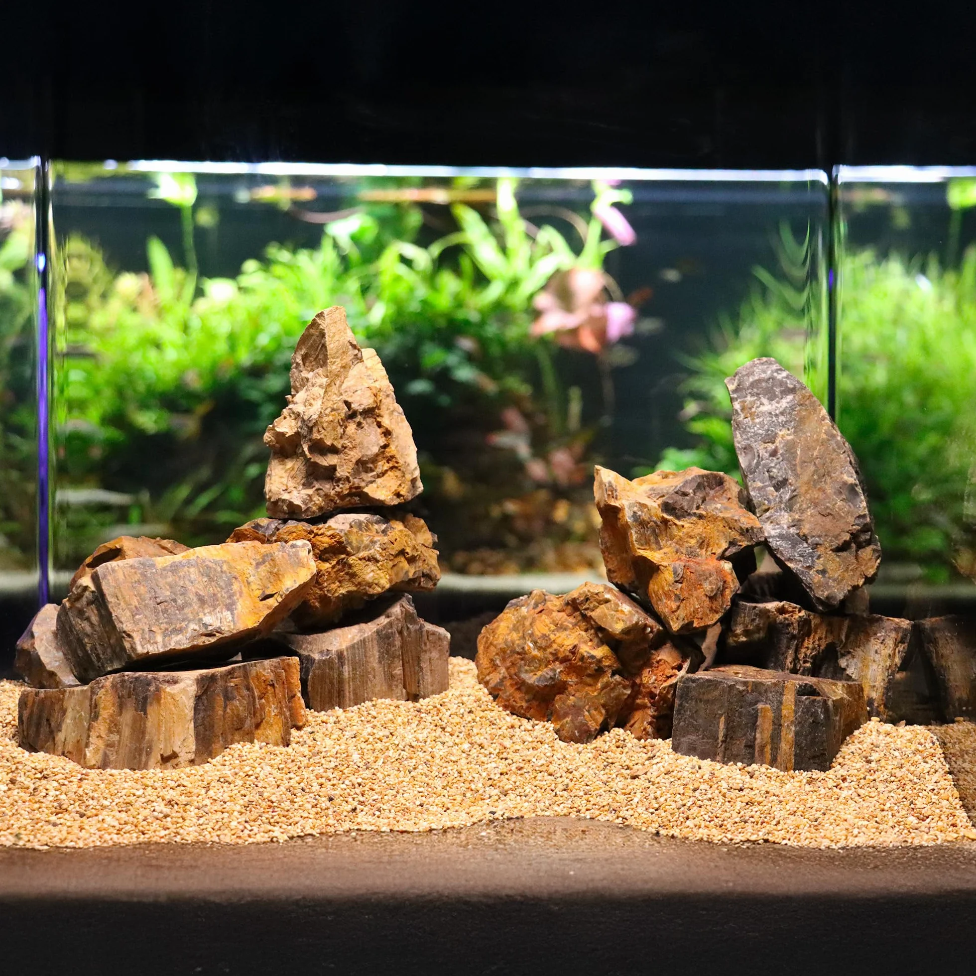 Amtra - Roccia Petrified, decorazione per acquario, naturale, non calcarea, 1 KG