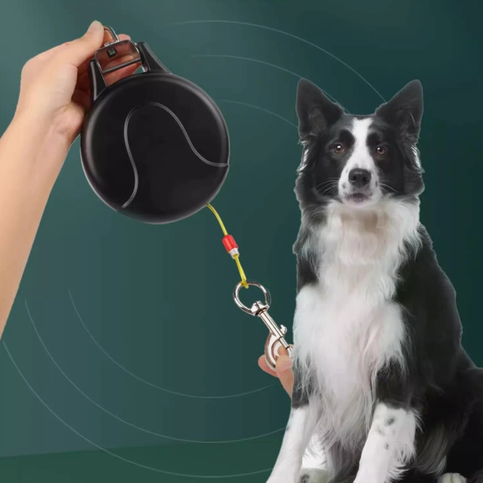 Guinzaglio Retrattile per Animali Domestici Facile Da Conservare In | Supporto A Parete Per Guinzaglio Retrattile Adatto A Animali Passeggiata Corsa Escursionismo Campeggio Spiaggia Cort