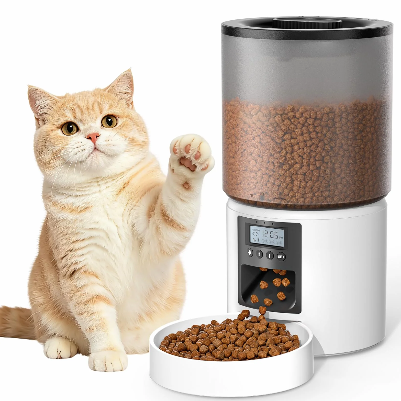 Distributore Automatico Cibo Gatti 4L Dispenser Crocchette Gatto con Timer Programmabile e Schermo LCD Distributore Cibo Gatti con Registrazione Vocale 10s fino a 1-6 Pasti Giornalieri
