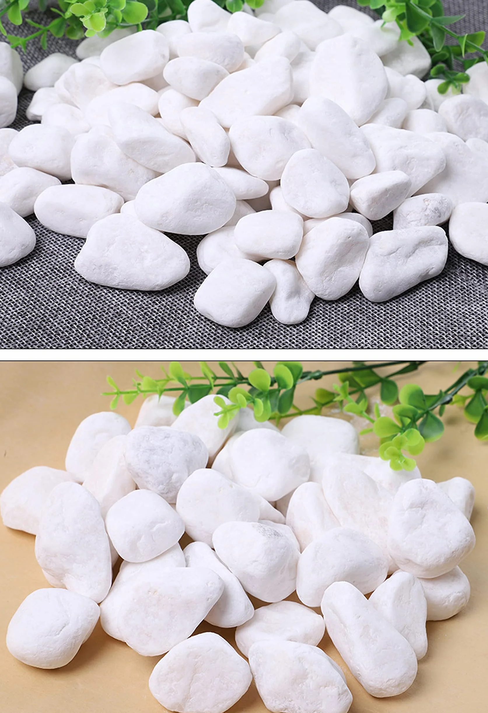 Ghiaia Bianca Naturale per Acquario Giardino Decorazione 900g