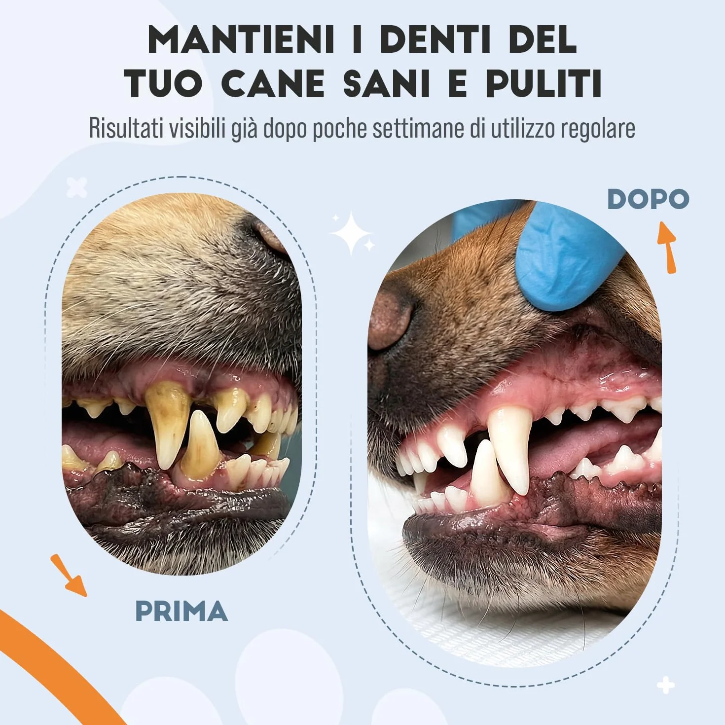 Pulizia Denti Cane in Polvere, Rimuovi Tartaro Denti, con Ascophyllum Nodosum e Pappa Reale, per Alito Cattivo e Igiene Orale, 150gr per Supporto alle Gengive e Alito Fresco