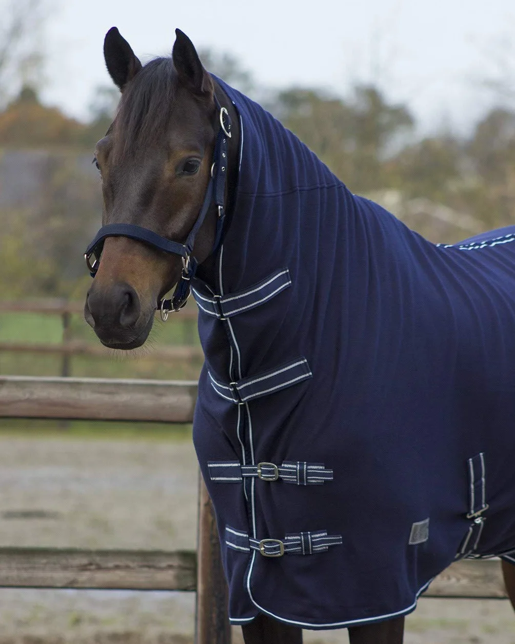 QHP coperta in pile per cavallo con parte per il collo e cinghie, blu