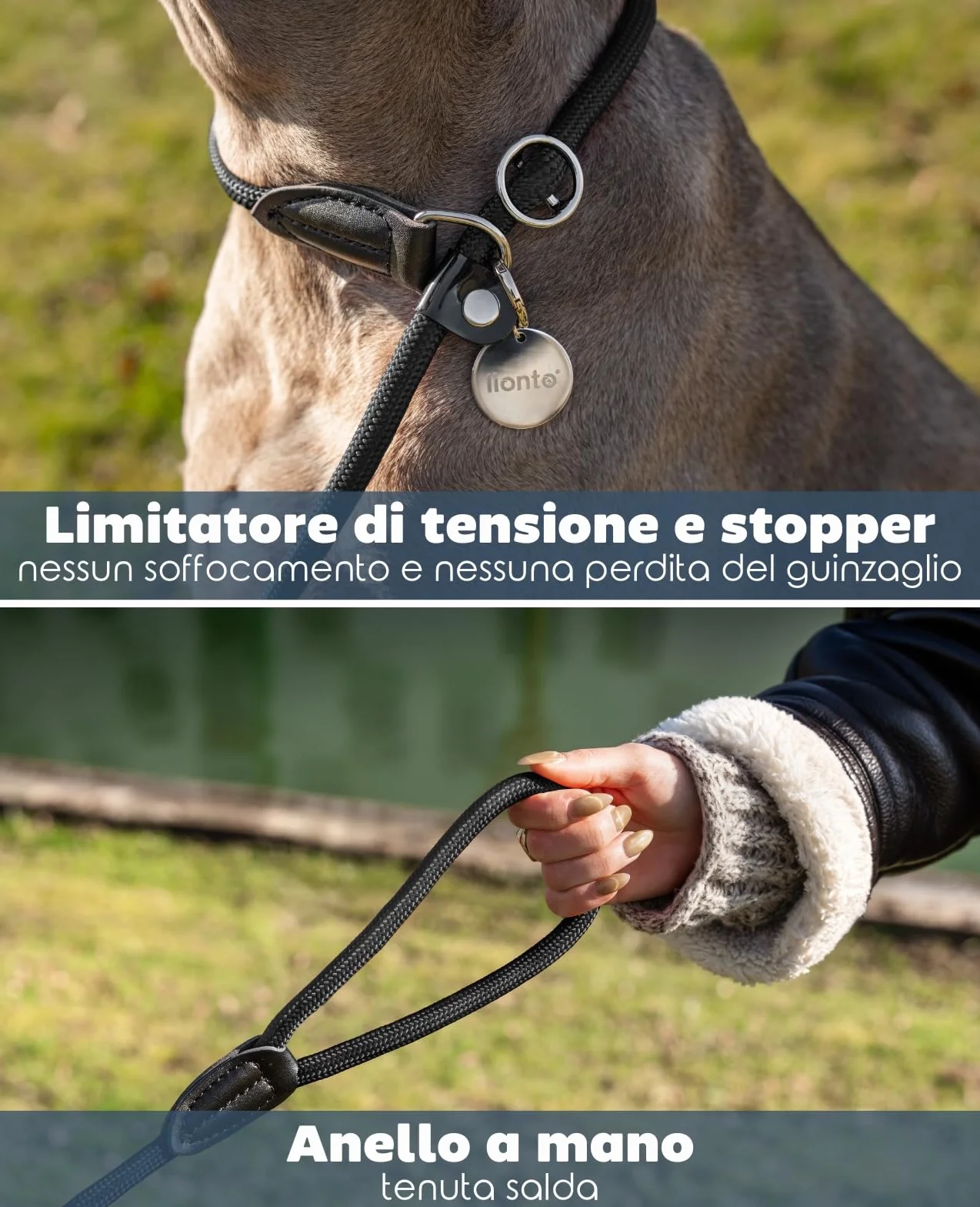 lionto Guinzaglio Retriever Guinzaglio per Cani Guinzaglio Formazione Cani, Lunghezza 170 cm Nero