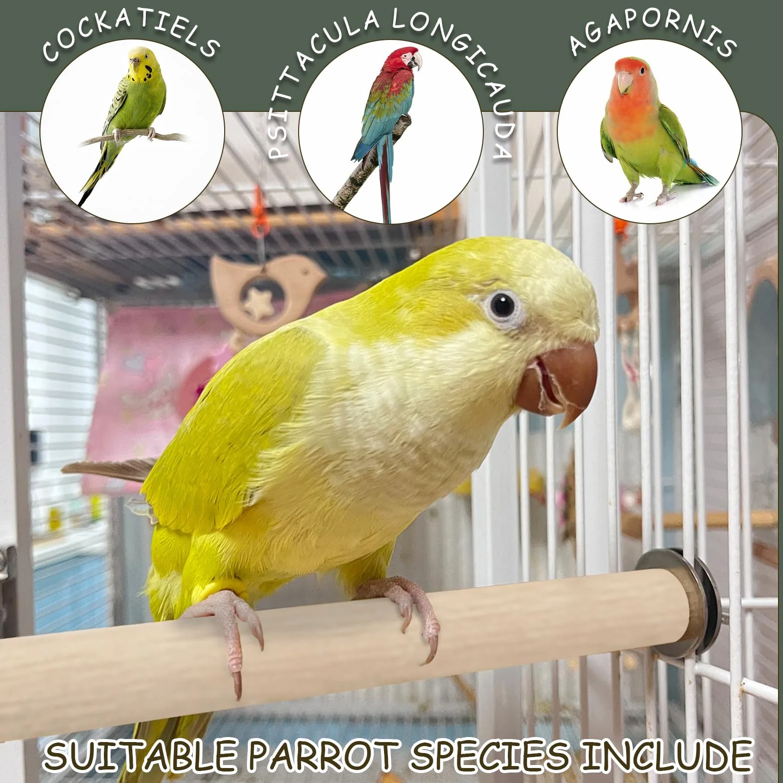 Giocattoli in Legno Naturale per Pappagalli Set 9 pezzi Altalene Scaletta Giocattolo da Masticare