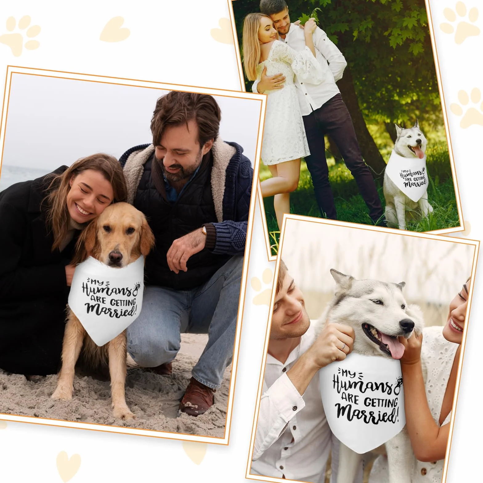 Regalo di fidanzamento Bandana per cani My Humans are Getting Married Sciarpa per animali domestici Annuncio Accessori