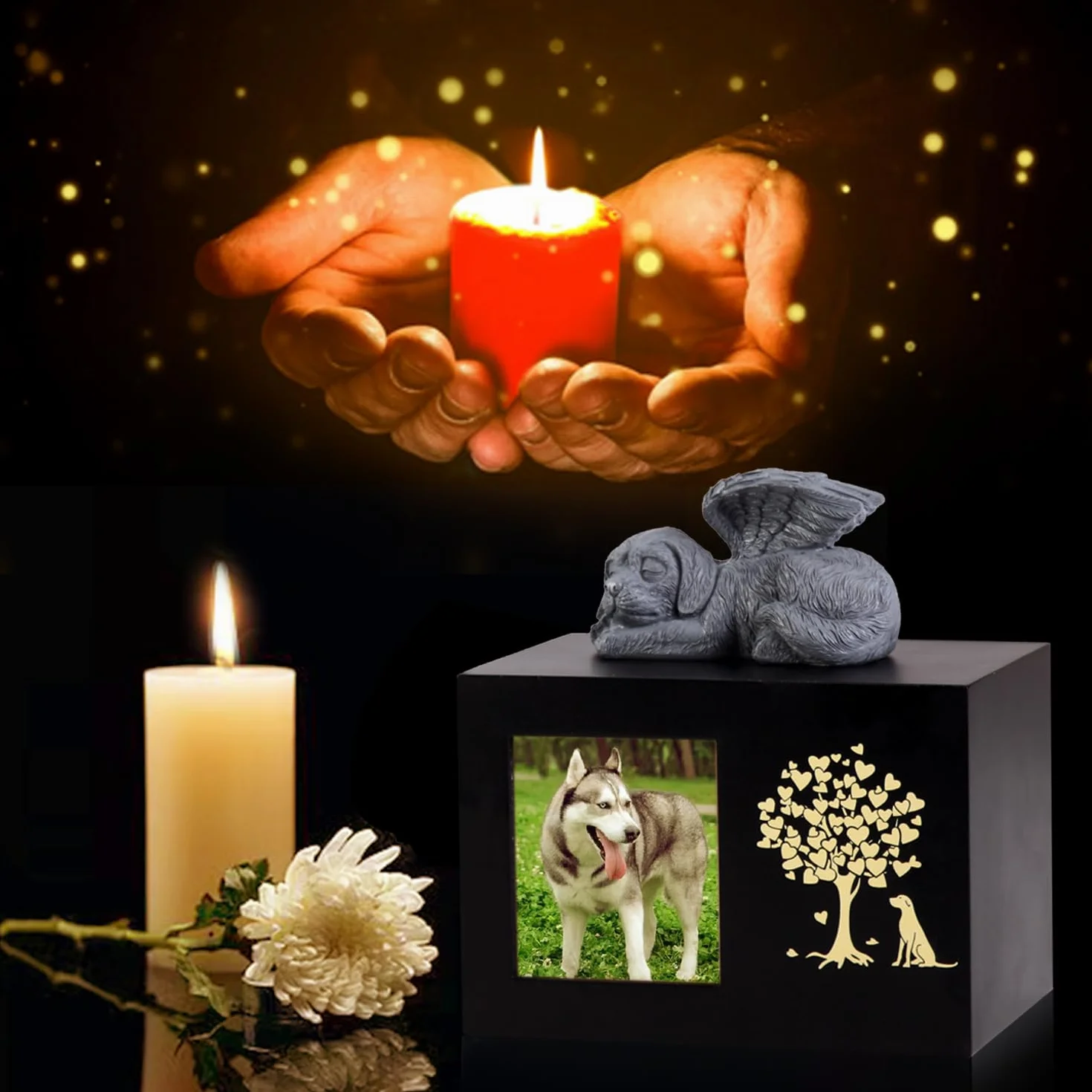 Urne per ceneri per cani in legno grandi con cornice per foto scatola commemorativa
