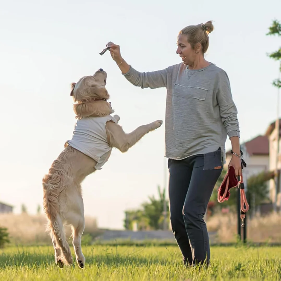 Borsa Addestramento Cane, Porta premietti per Cani, Porta Snack Cane, Sacchetto per cani a mani libere con moschettone, addestramento Cani Accessori, per addestramento di Cani (Nero)