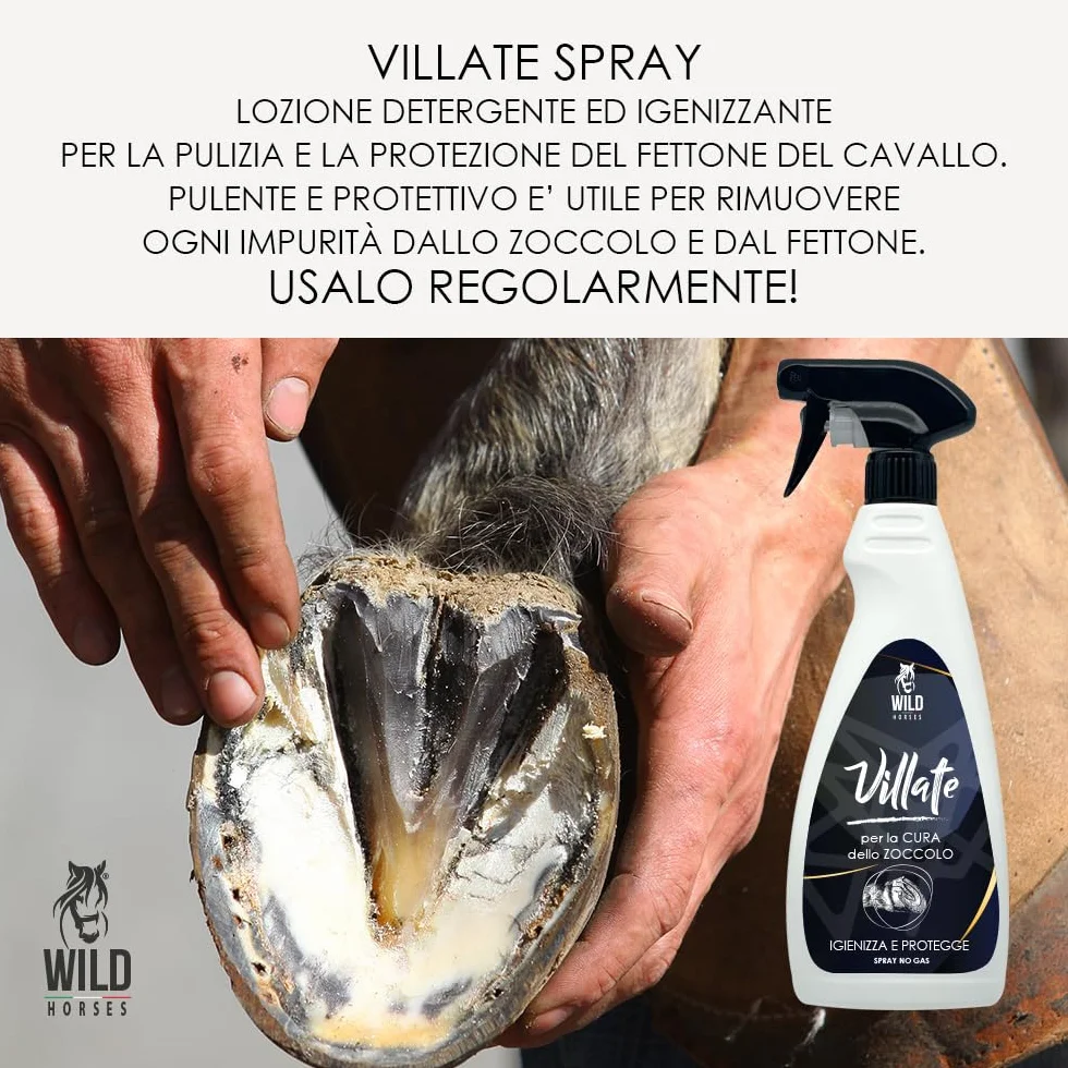 Villate Spray Lozione Detergente Igenizzante per Pulizia e Protezione del Fettone 500ml