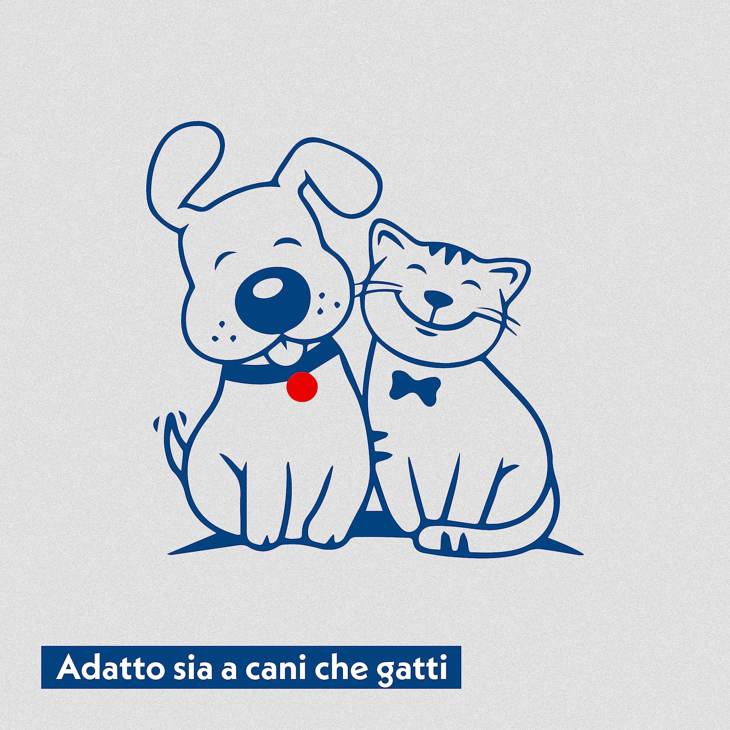 Amore Mio | Spray Attrattivo per Cani, Gatti e Cuccioli, Prodotto Educativo per Addestramento Lettiera, Traversina, Abituante, Spray Correttore per Animali Domestici - 500 ml