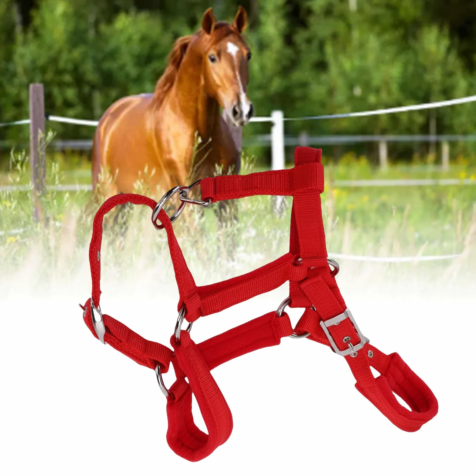 Cavezze per cavallo regolabili in nylon morbido e resistente, rosse, capezzale da equitazione con cinturino in nylon PP largo 25 mm con fibbia in metallo per cavallo medio, per