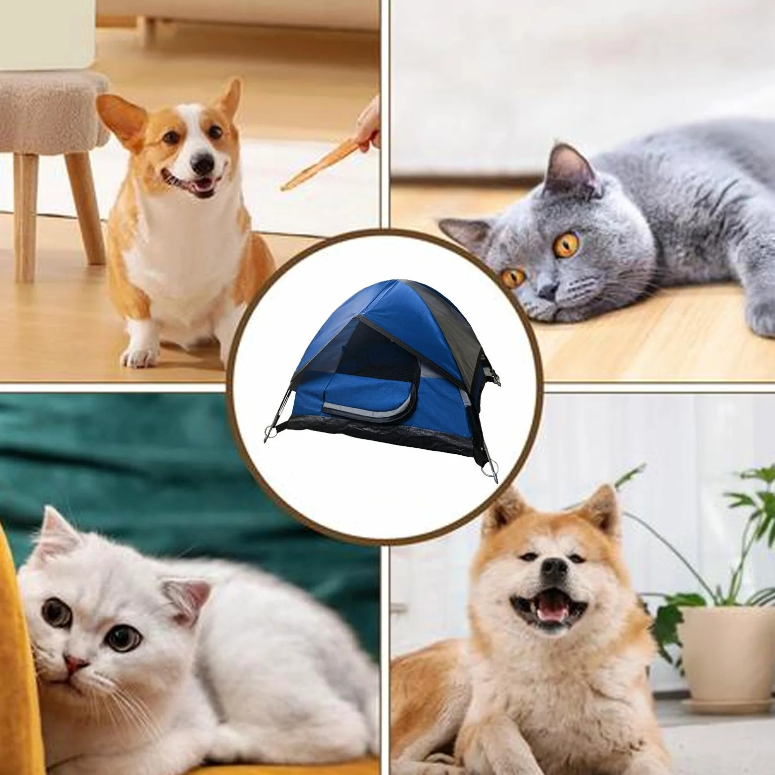 Generico Tenda per gatti, tenda da campeggio per animali Tenda da per gatti | Tenda da per gatti all'aperto, tenda per gatti impermeabile per cani di piccola taglia, animali domestici,