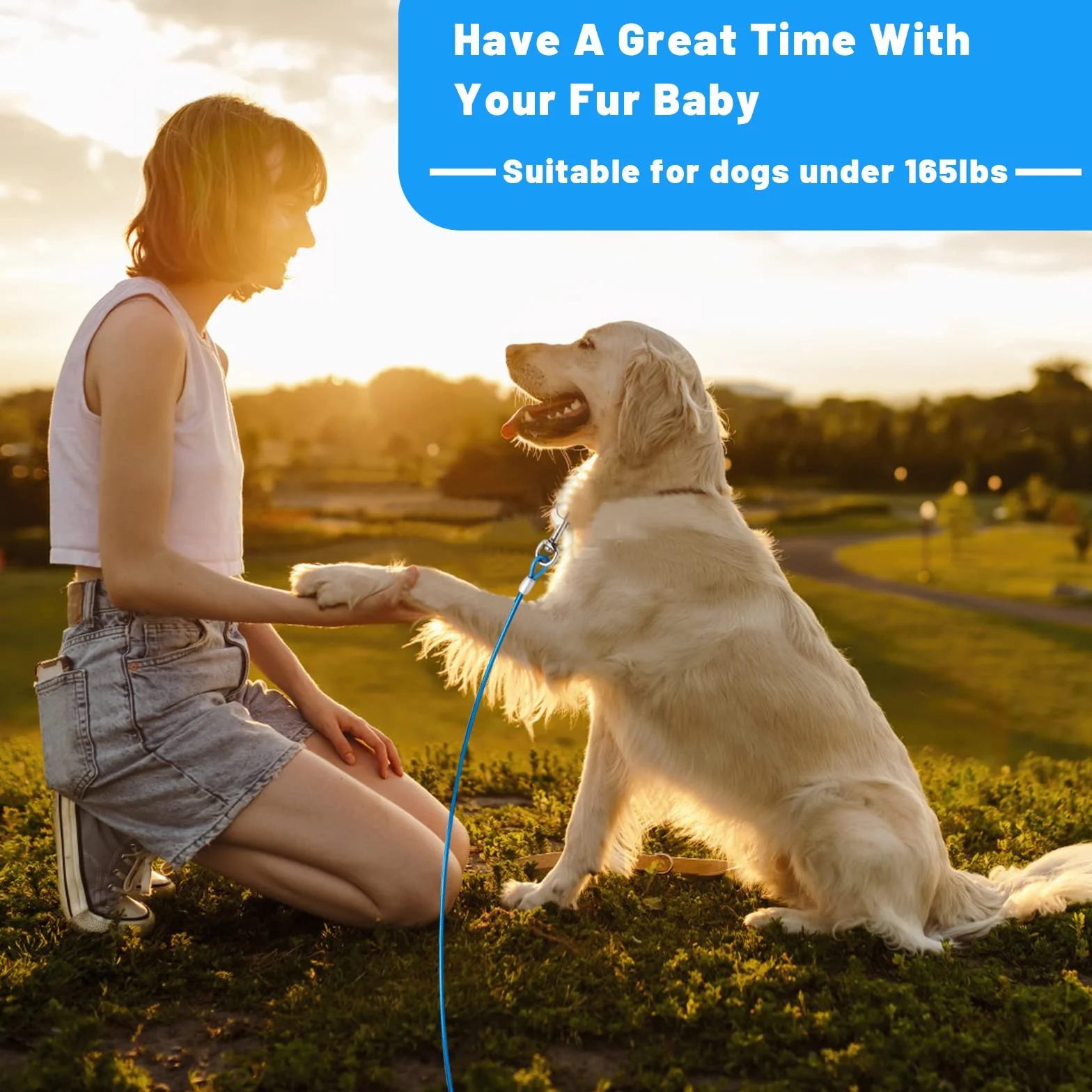 Dog Tie out Cable 10/15/20/25/30 FT Dog Runner for Yard Steel Wire Dog Cable with Durable Superior Clips Blue Dog Chains for Outside Dog Lead for Large Dogs Up to 165 lbs