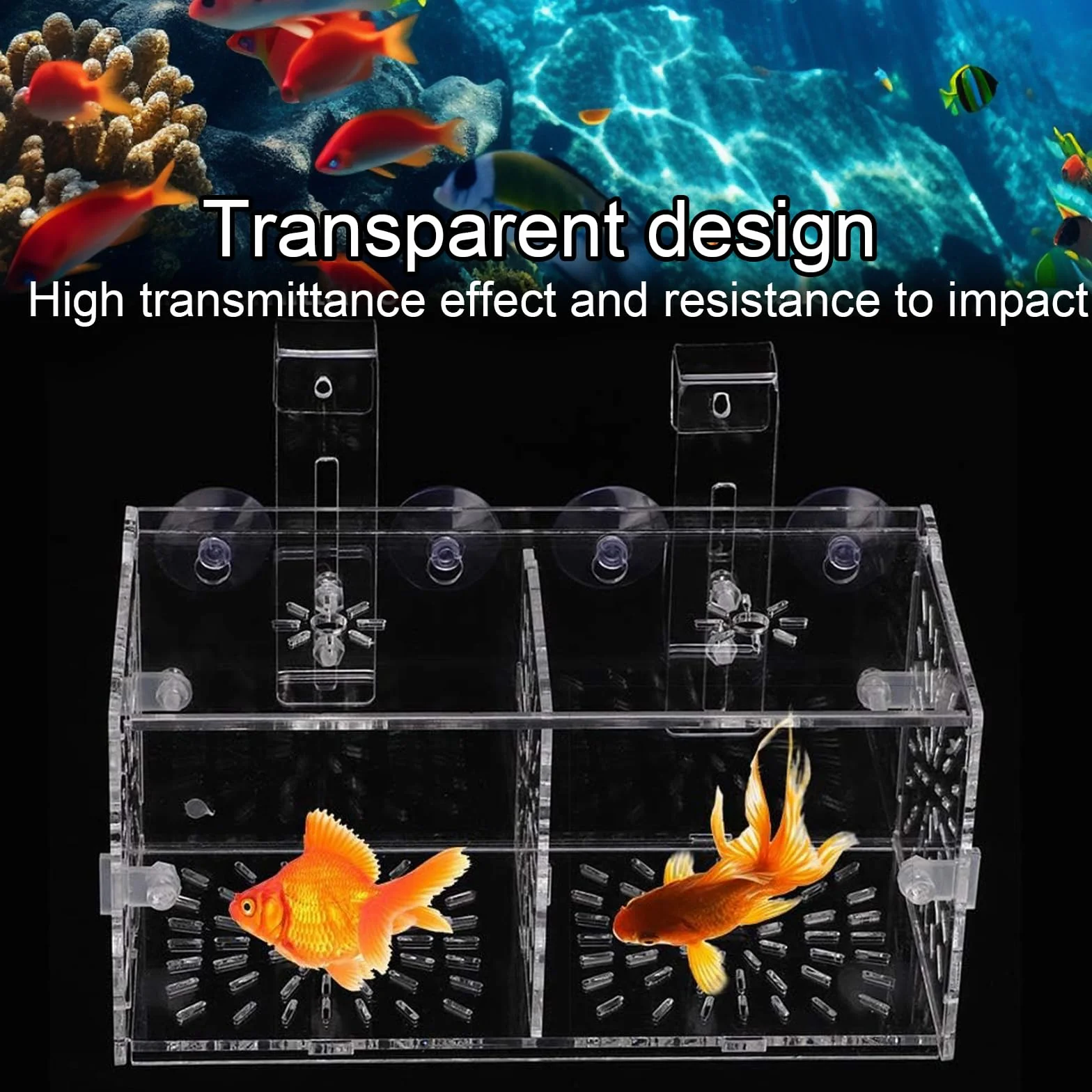 Sala parto guppy Sala Parto Pesci Acquario Salas Parto Acquario Piccola Scatola di Allevamento per Acquari può Essere utilizzato per L'isolamento la Schiusa la Piscicoltura ecc