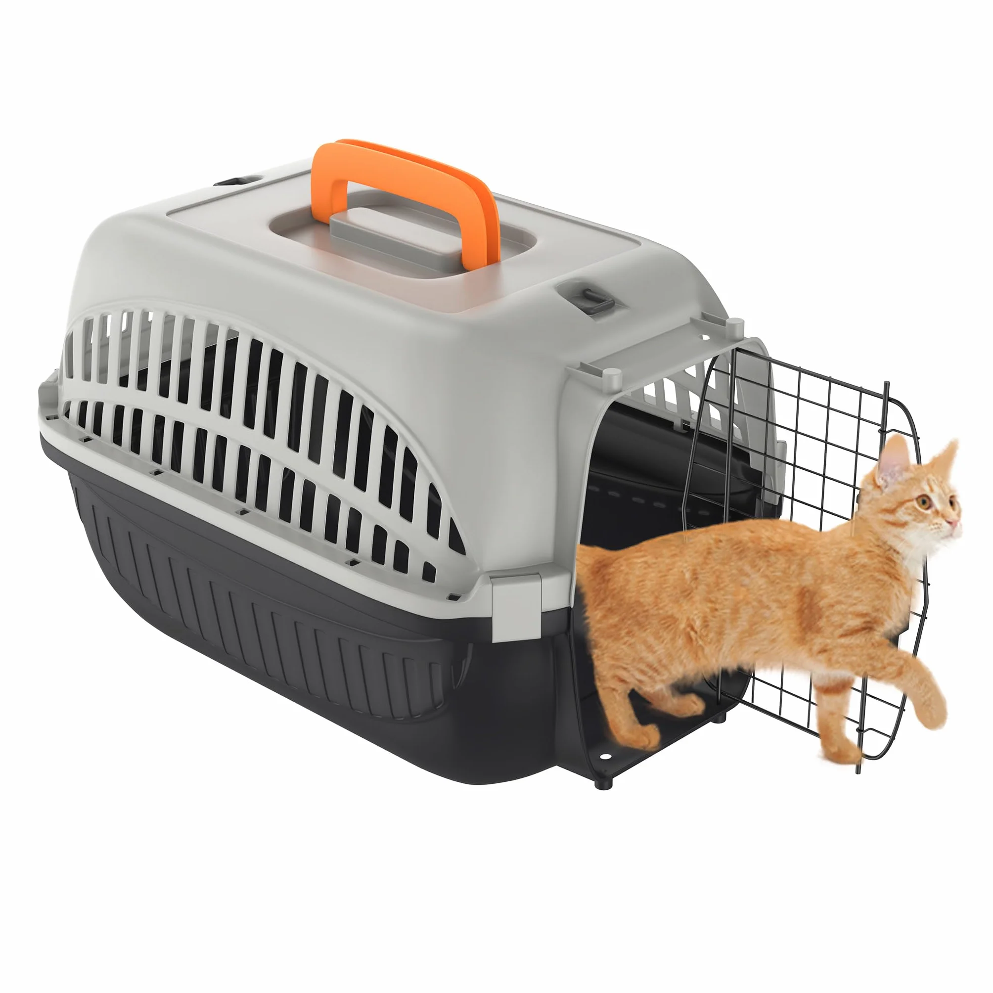 NAIZY Trasportino per cani e gatti, 48 x 32 x 32 cm, in plastica PP, con porta in ferro e prese d'aria, max. fino a 10 kg