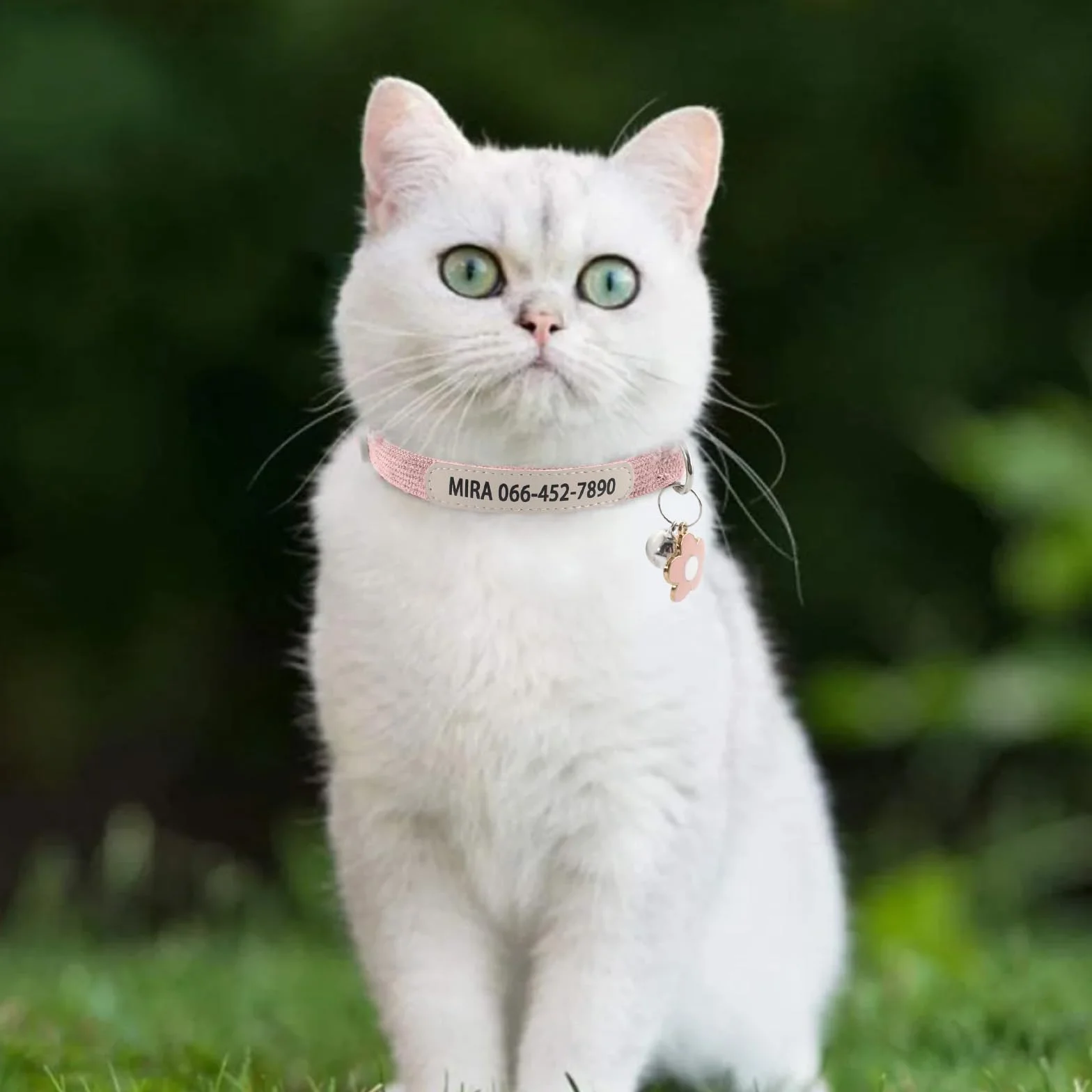 Collare per gatti personalizzato con stampa UV nome e numero di telefono – Collare regolabile per animali domestici con campana