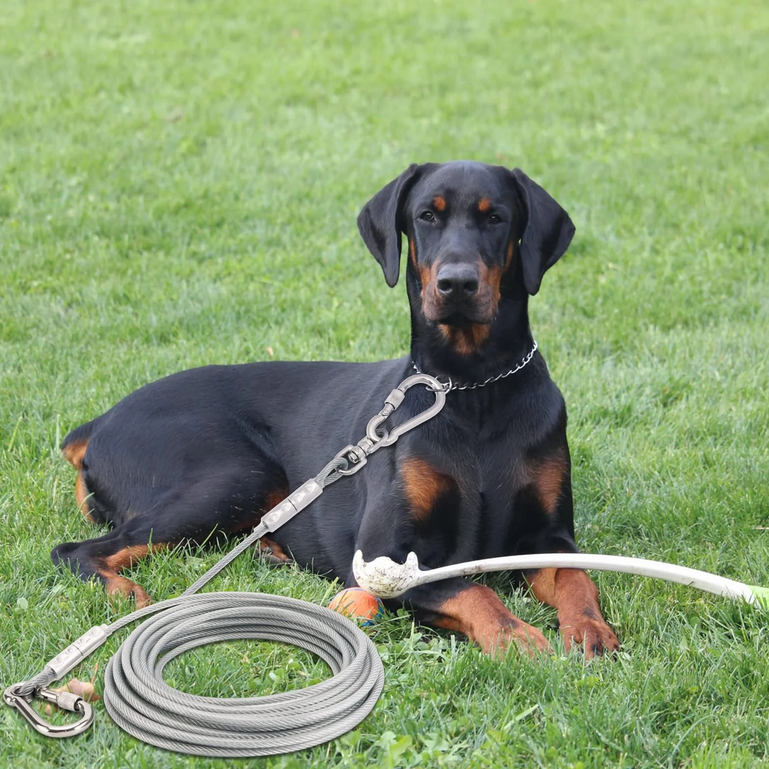 Tie-Out - Guinzaglio per cani, 3/6/9/15 m, per il cortile, 9 m