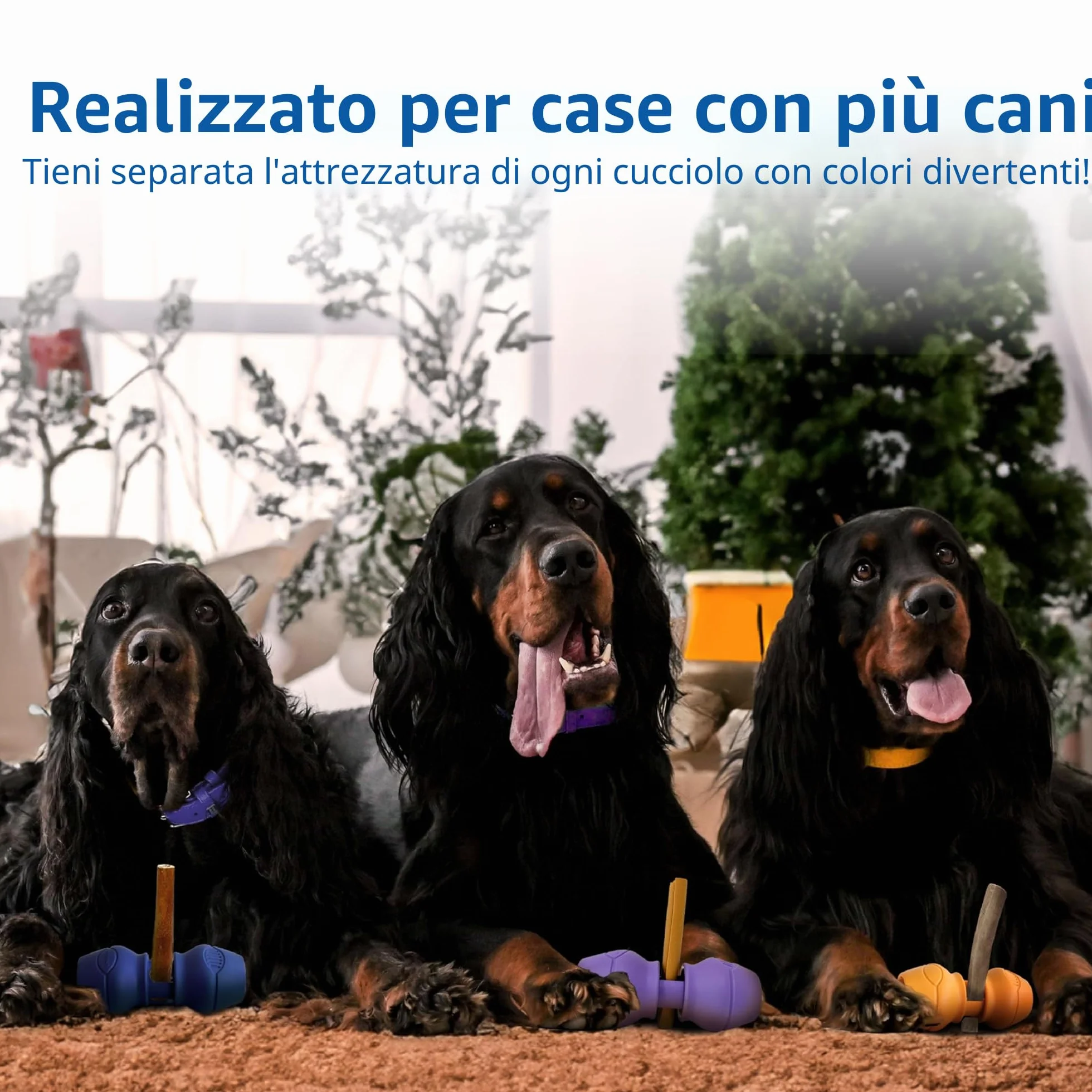 Chewise Supporto per Bastoncini da Masticare per Cani, versione migliorata, resistente e sicuro, dispositivo BPA-free per prevenire il soffocamento, compatibile con vari bastoncini e taglie di cani