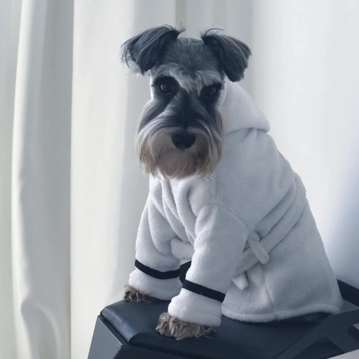 Accappatoio Assorbente per Animali, Asciugatura Rapida, Cotone | Bianco, per Cane e Gatto, Uso Dopo Bagno Autunnale, Stile Morbido e Caldo