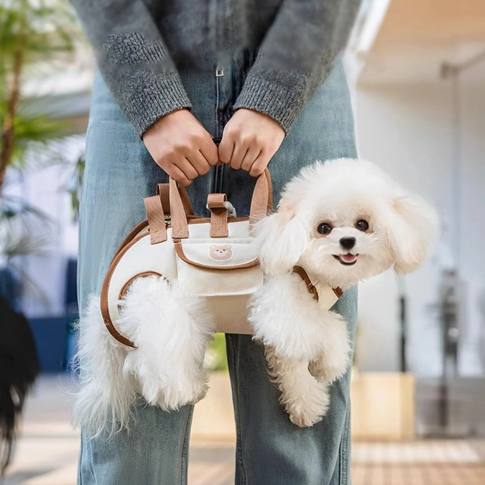 Imbracatura di sollevamento per cani, imbracatura per cani di piccola e media taglia, borsa portatile per animali domestici, trasportino per cani di piccola taglia per cuccioli di gatto all'aperto