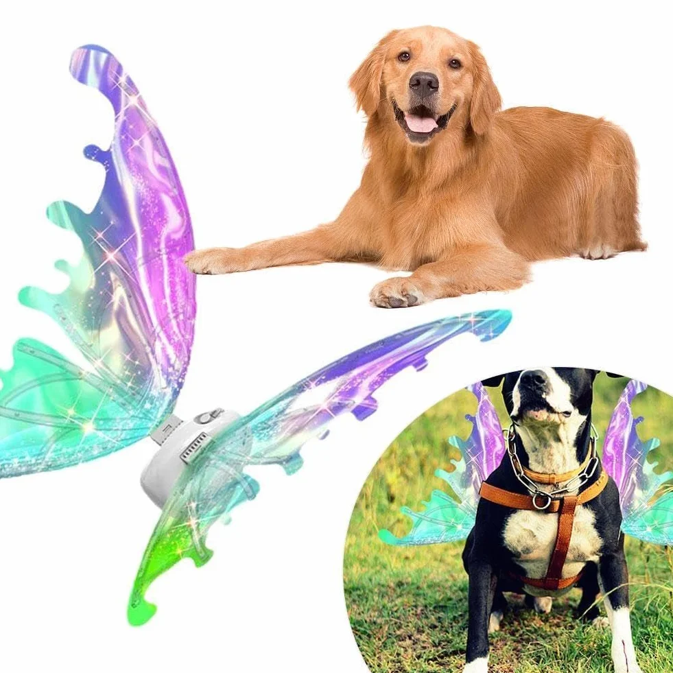 Ali di farfalla a LED per cani, ali incandescenti con luci a LED e musica, elfo con musica per bambini, ali luminose