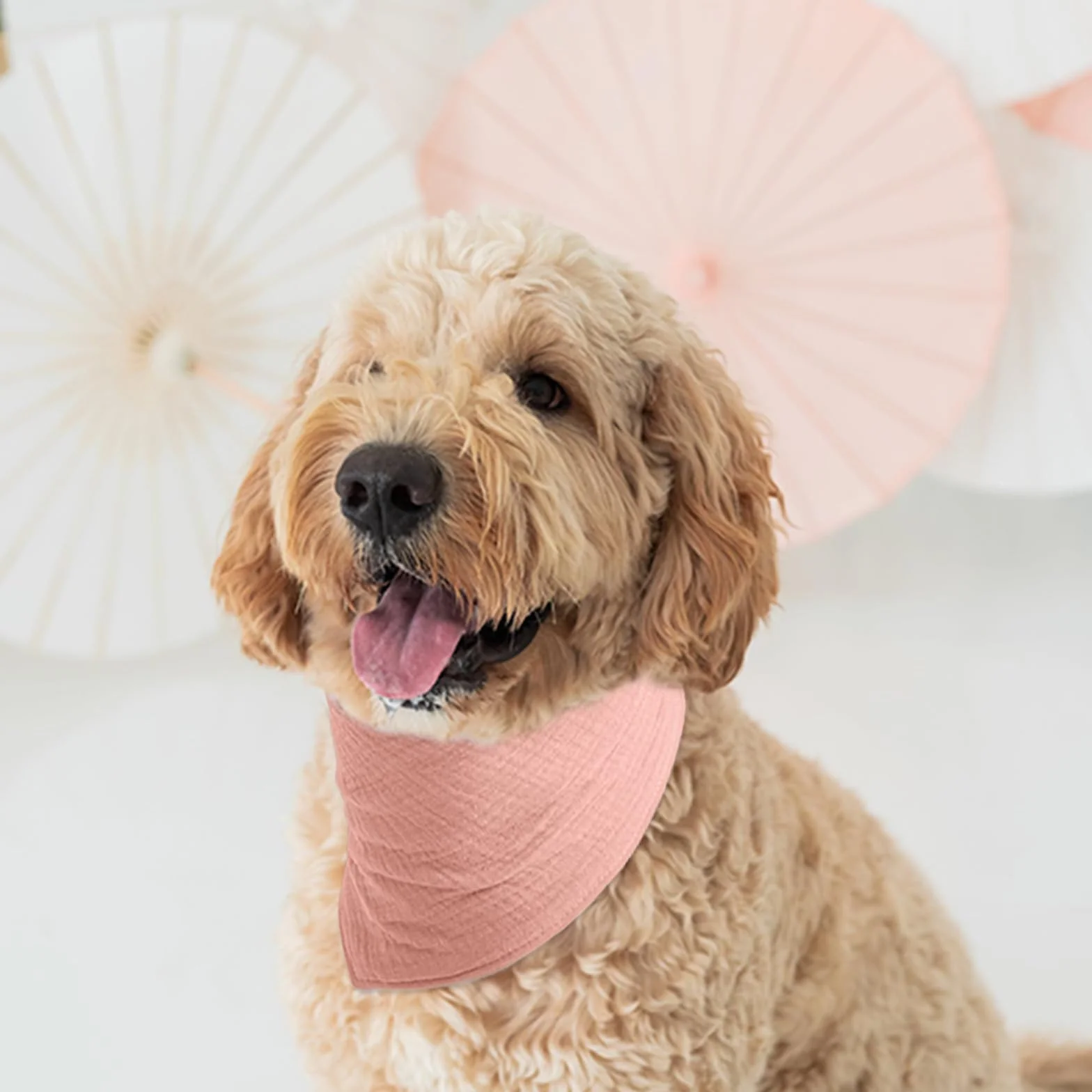 Bandana per Cani Tinta Unita Rosa Corallo Cotone Morbido Taglia Grande 15-40kg