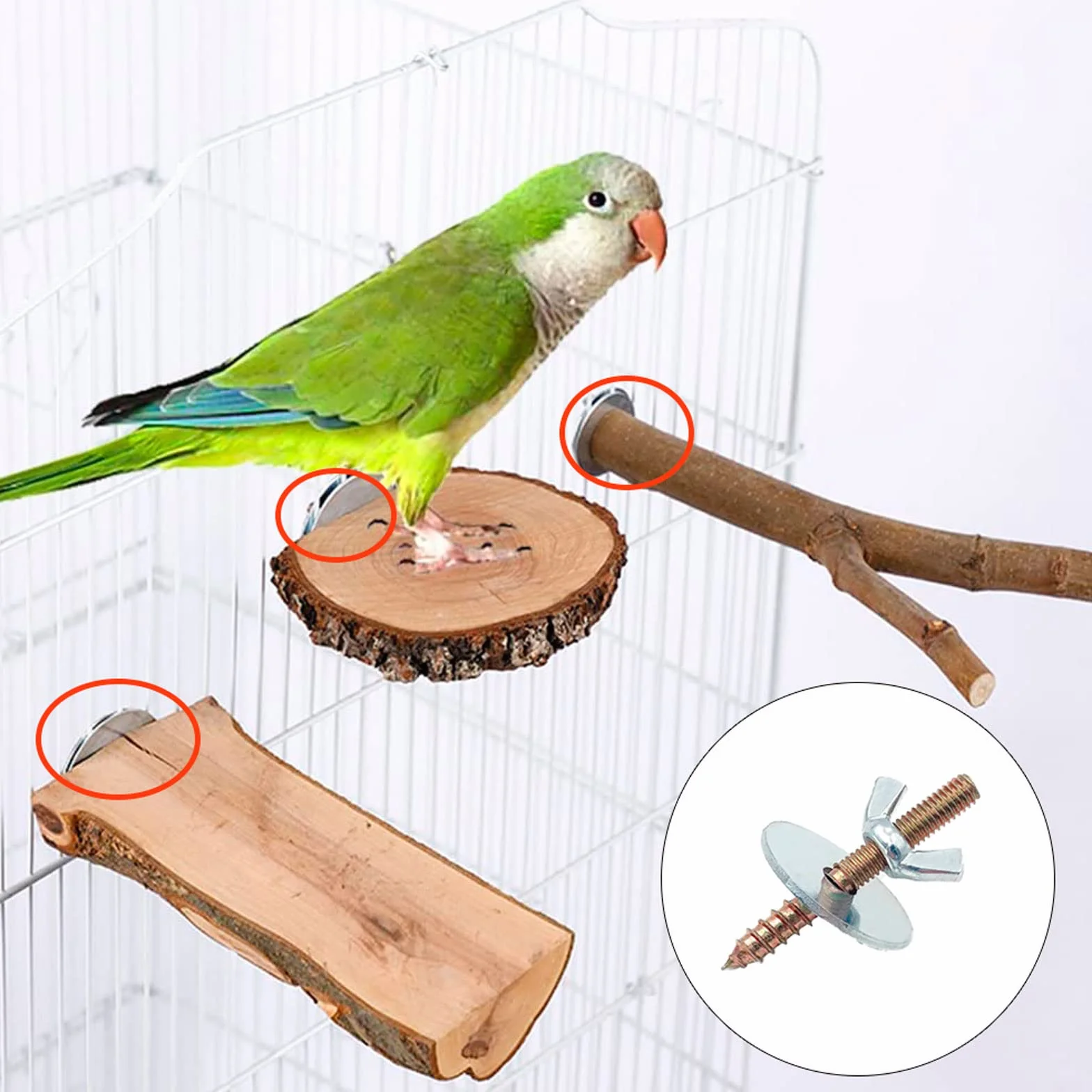 Posatoi per Uccelli, 10 Set di Viti per Rami in Legno, Set Autoassemblante per Fissaggio Gabbia, Nido per Pappagalli e Simili