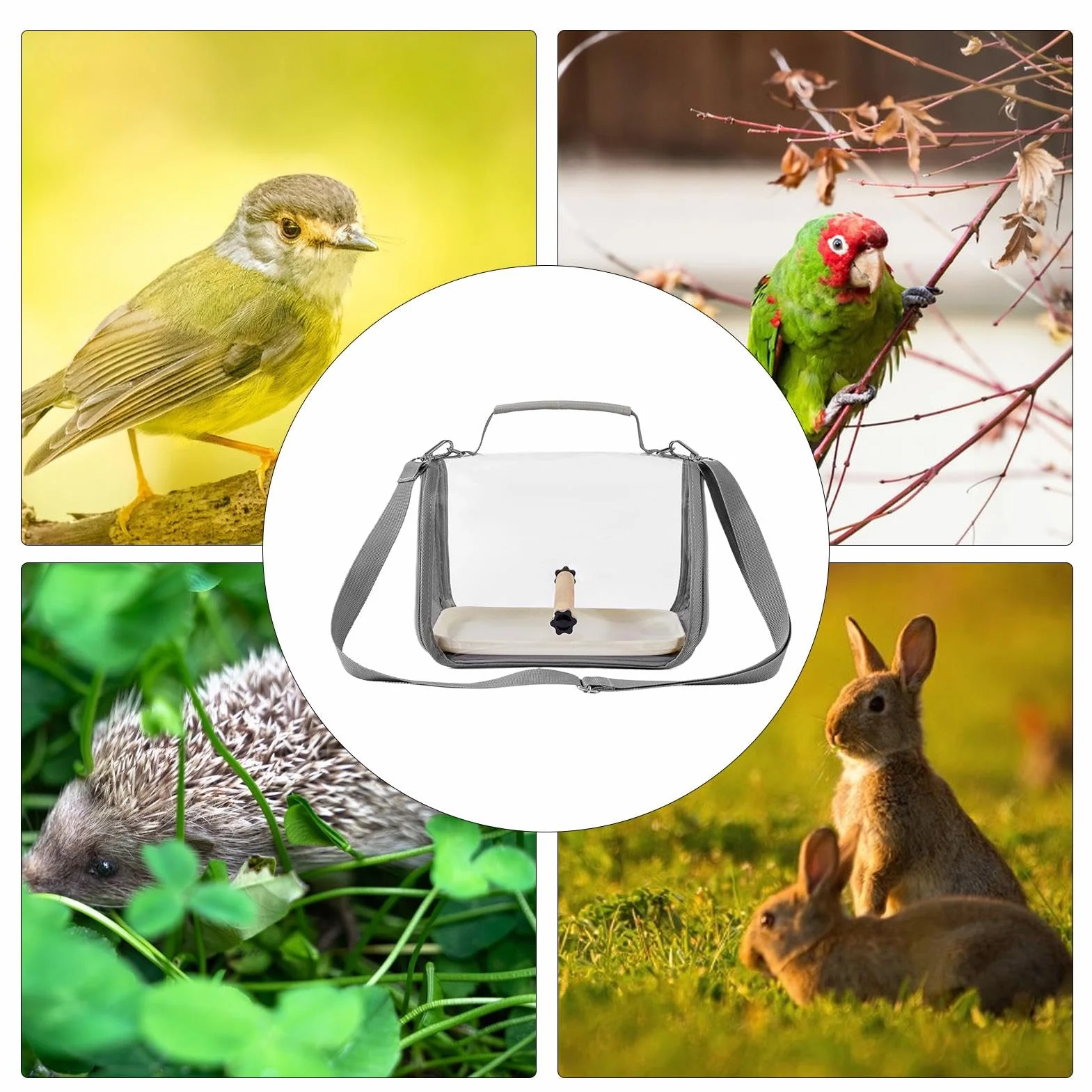 Borsa da trasporto per pappagalli, trasportino per parrocchetti con posatoio, calopsitta, piccola gabbia per il trasporto di animali domestici, parrocchetti, piccioncini, calopsitte