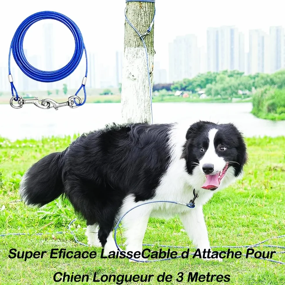 Cavo di fissaggio per cani 300 cm per cani forti | Cavo da corsa robusto per cani fino a 250 libbre | Linea di corsa per cani per esterni, cortile e campeggio