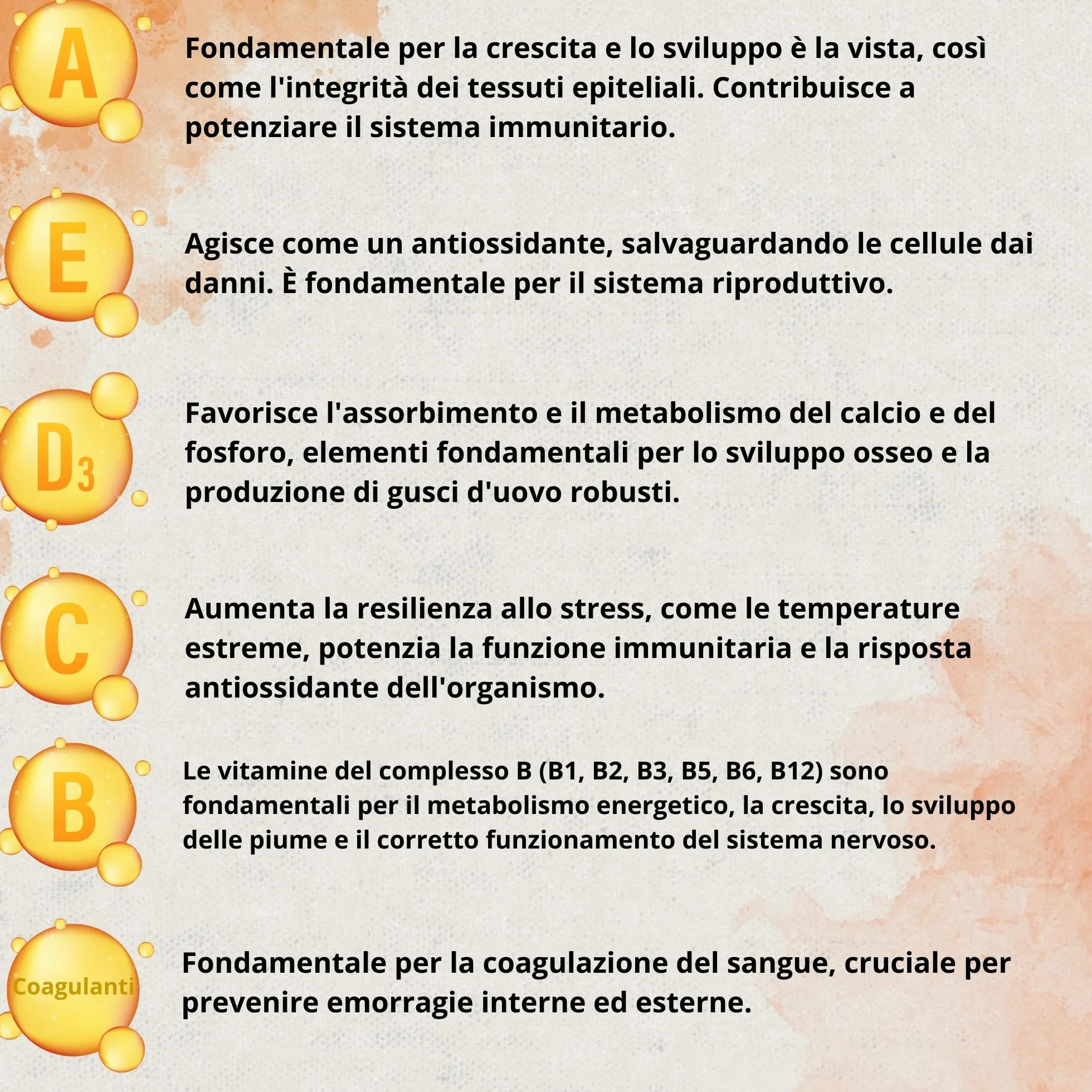 Multivitaminico 6 in 1 250ml Uccelli Vitamine A-E-D-C-B Mangime Complementare per Abbeveratoio Galline Polli Piccioni Pappagalli Parrocchetti con Dosatore Boostcare