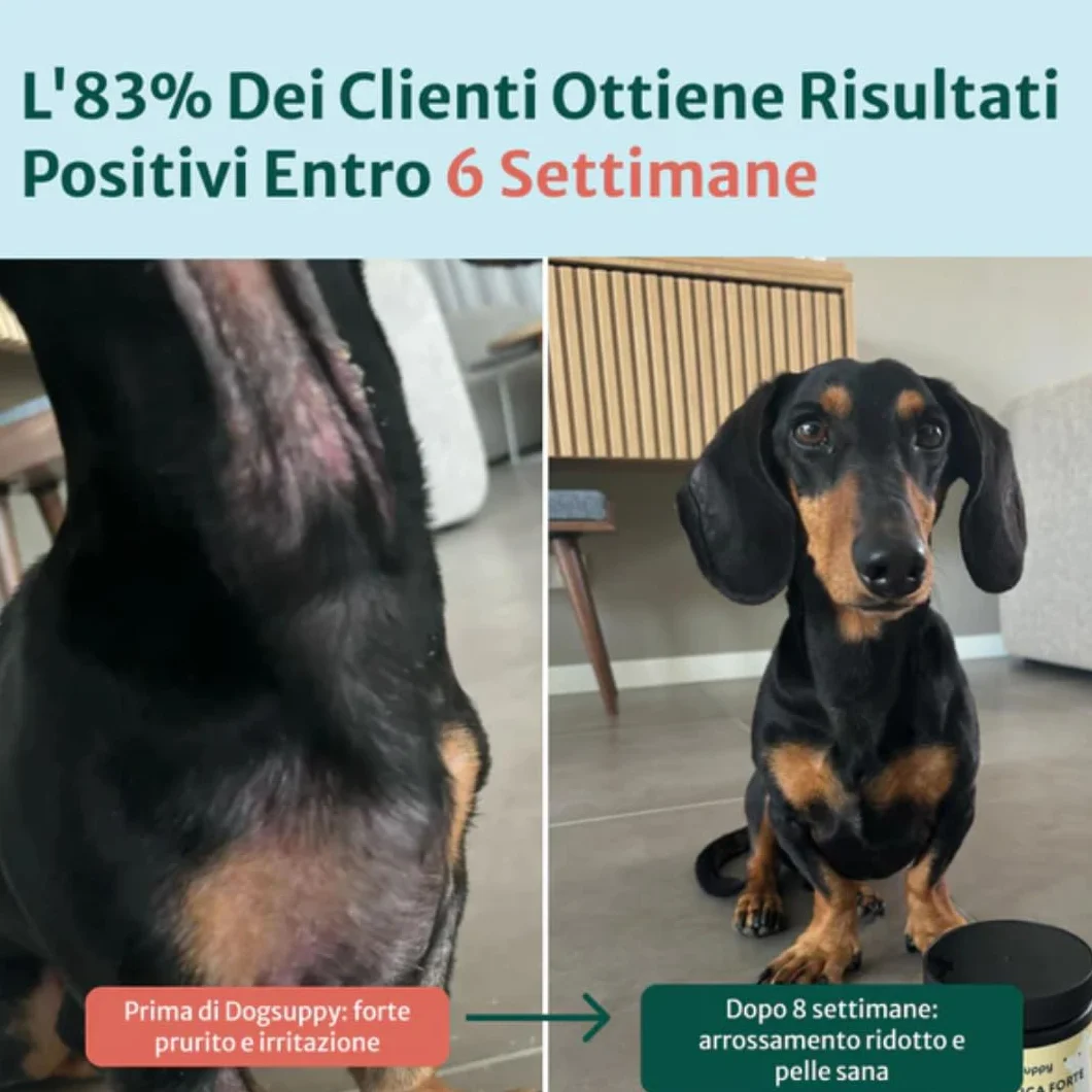 DogSuppy Sollievo Prurito Probiotici Forte per Cani – Ferma Prurito, Grattamento, Leccamento delle Zampe e Mangiare l’Erba, Allevia Allergie e Lieviti, 100% Naturale, Sostiene Intestino e Immunità