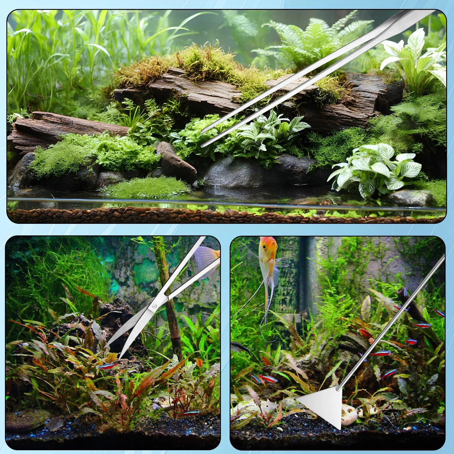 Kit Attrezzi Aquascaping Acquario Acciaio Inossidabile Pinze Forbici Spatola Raschietto Alghe Teste Sostituzione