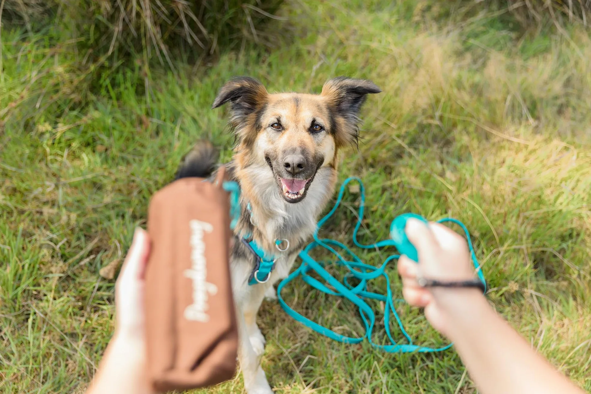 Trixie Preydummy - Gioco per l’addestramento del Cane