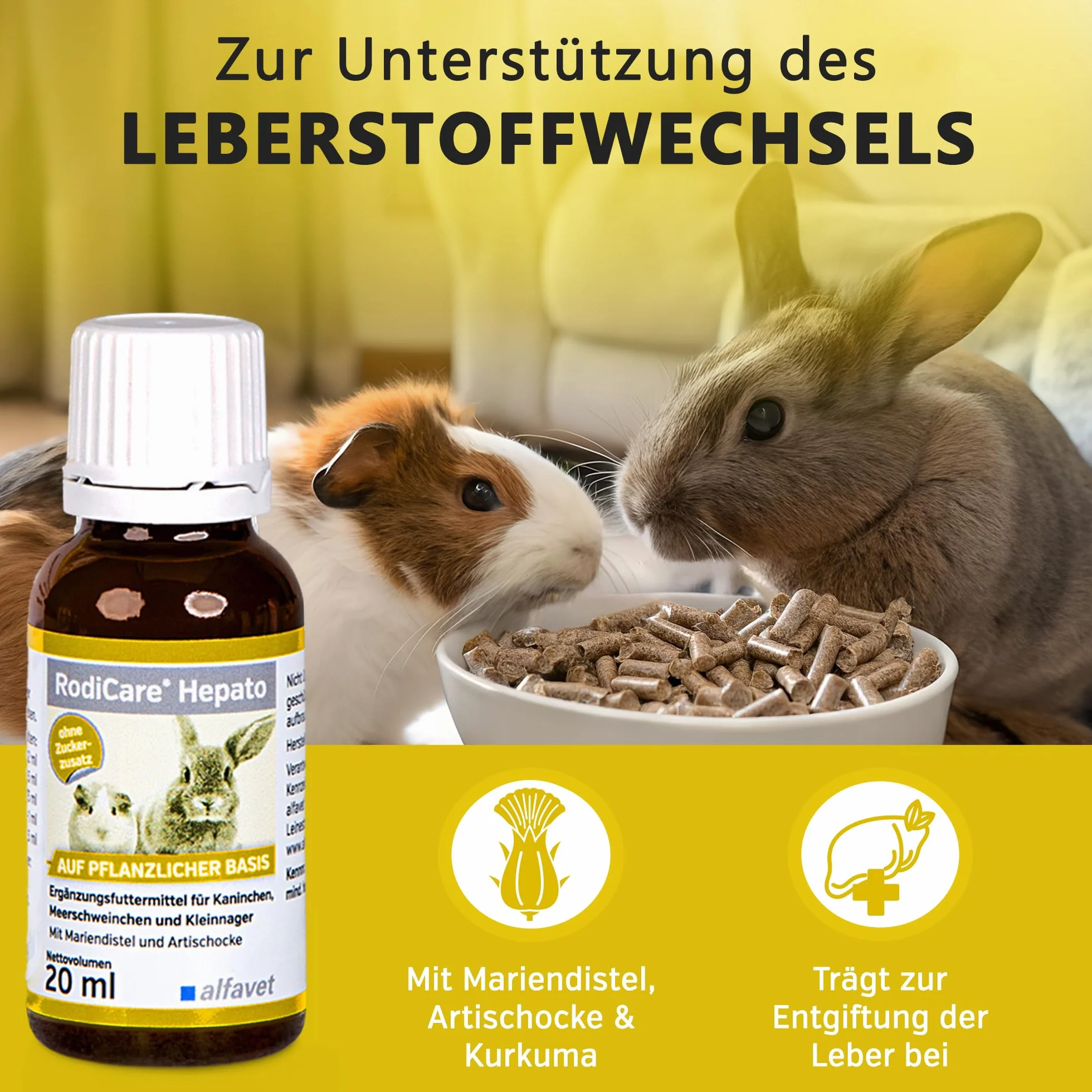 Alfavet RodiCare Hepato (20 ml) – Supporto della funzione epatica e del metabolismo nei conigli, porcellini d’India e piccoli roditori – senza zucchero, con siringa dosatrice