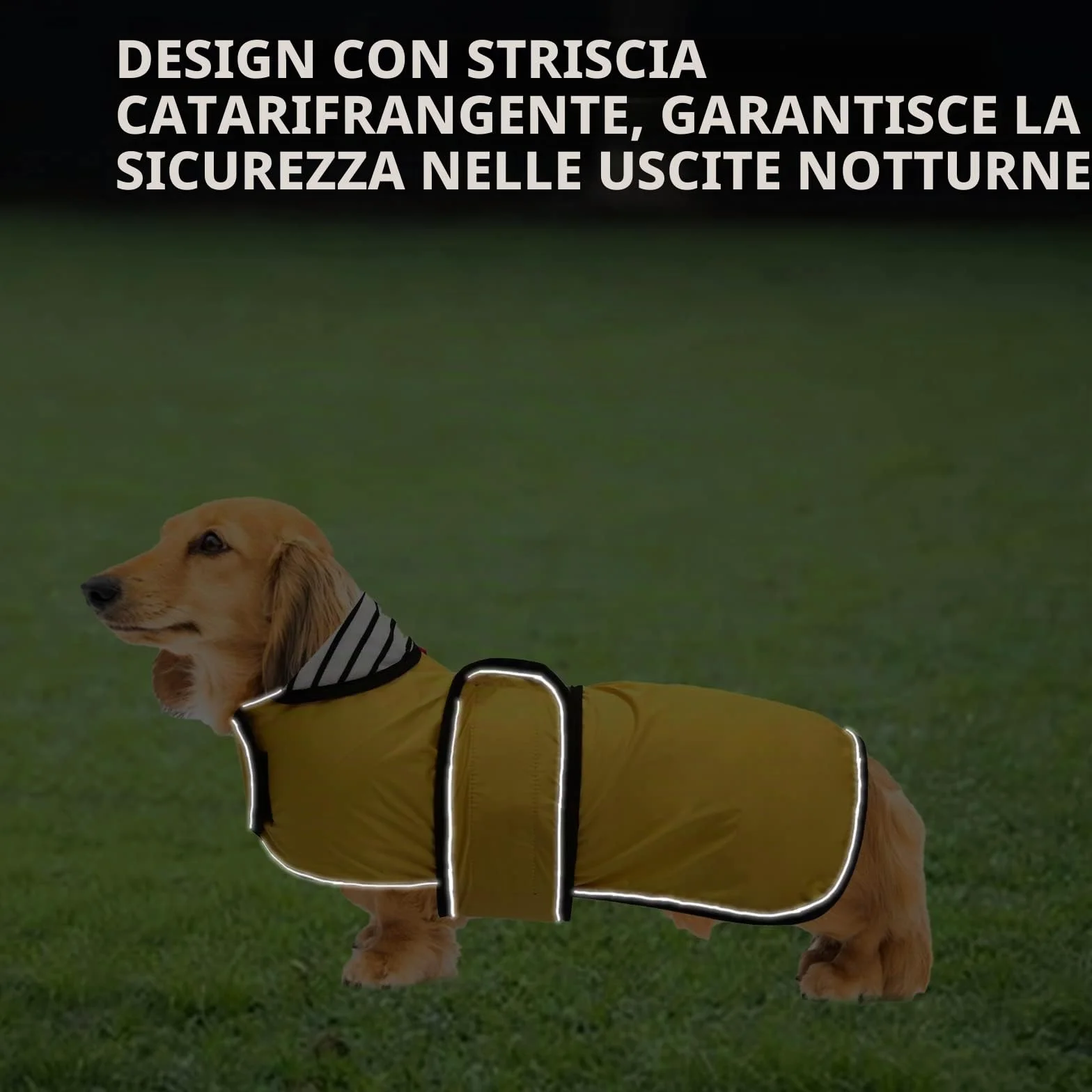 Geyecete-Cappotto Cane Impermeabile,Cappotto Bassotto,Bassotto Impermeabile Giacca con Regolabile Cintura,riflettuto Bassotto Giacca per piccola media Cani-Giallo-M