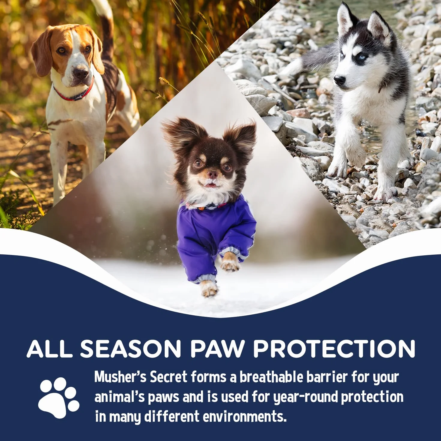 Musher's Secret Balsamo Zampe Cane 60g Protezione Naturale contro Ghiaccio Sale Asfalto