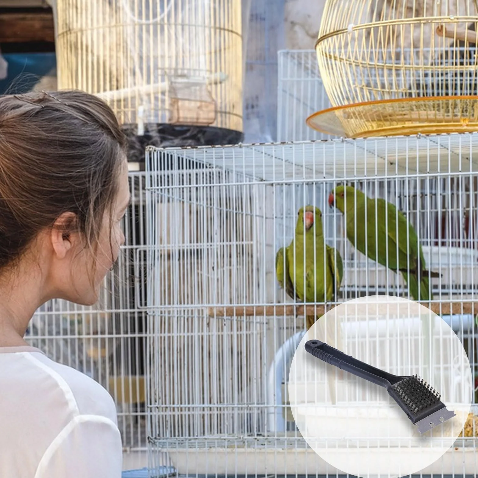 Spazzola per gabbia per uccelli, 1 spazzola per la pulizia degli escrementi di uccelli, con raschietto, manico lungo in acciaio inox, spazzola per la pulizia della gabbia degli uccelli, accessorio per