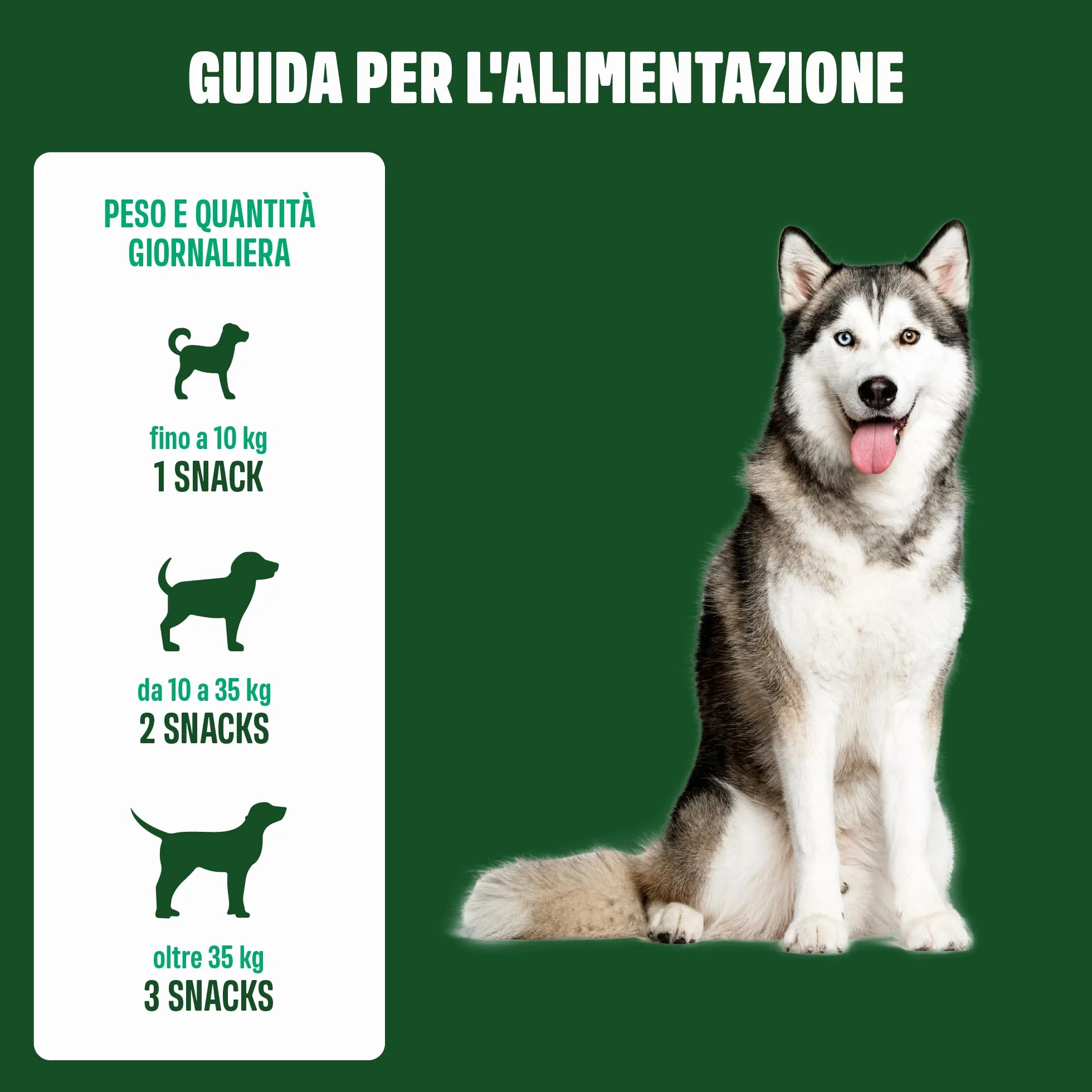 ivvi dental - snack per l'igiene dentale dei cani. Menta, prezzemolo, finocchio, camomilla, olio di cocco, alghe brune. 60 snack con pollo. Favorisce denti sani, alito fresco e gengive sane