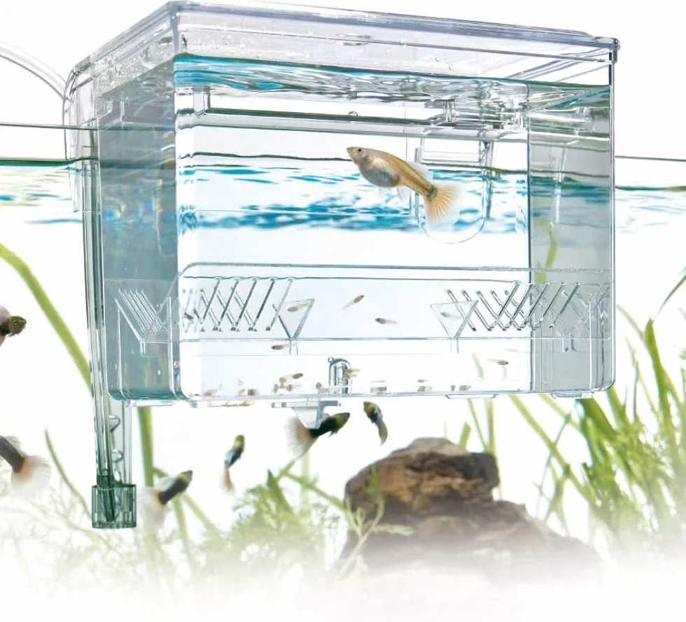 Amtra Esterba Hang On - Sala Parto Acquario, Vaschetta esterna da isolamento, Per Gestazione., Schiusa delle uova, 1,5 L/ 16X13X16 CM