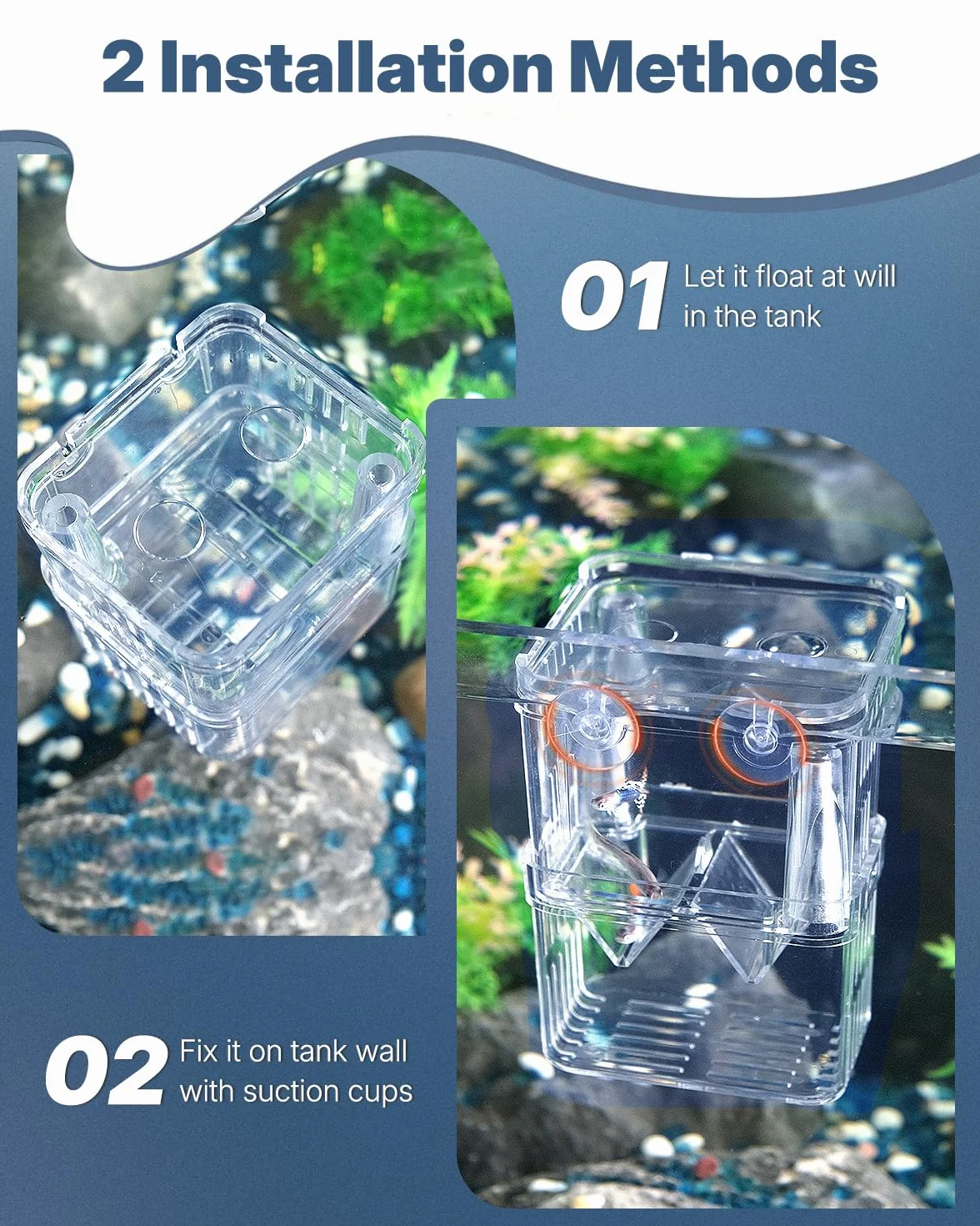 Pawfly acquario pesce allevamento box trasparente plastica Breeder Box per serbatoio di pesce avannotti incubatore incubazione Box per pesci aggressivi Guppy