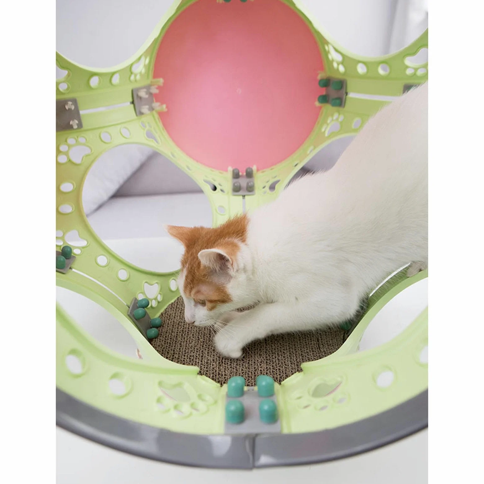 Cat Tunnel Toy, Home Indoor Playing Cute Training Pet Supplies Bed Cat Climbing Frame, Pet Interactive Toy for Dogs Kitten Puppy, Bianco